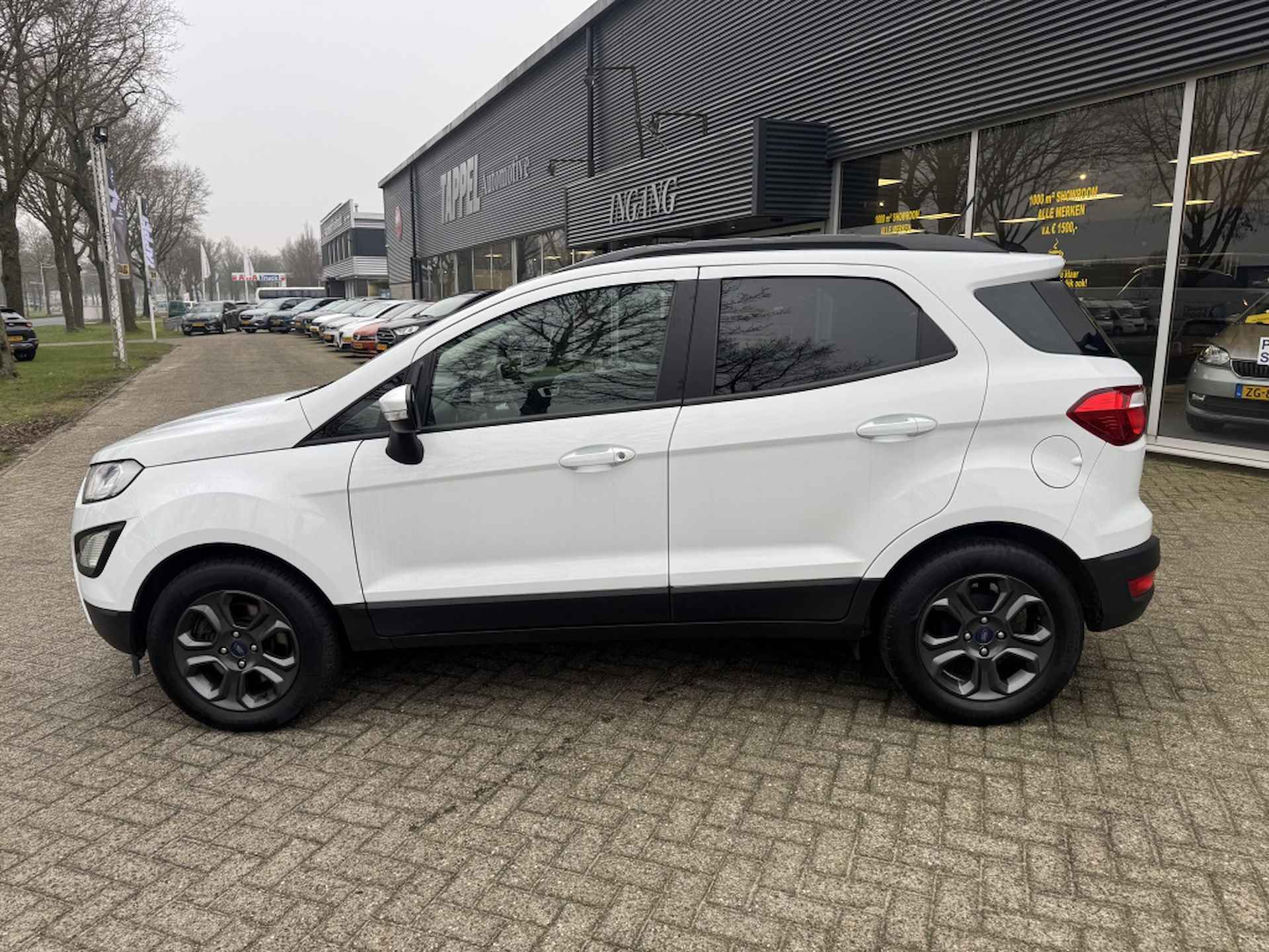 Ford EcoSport 1.0 EB Trend Ultim. - 2/16