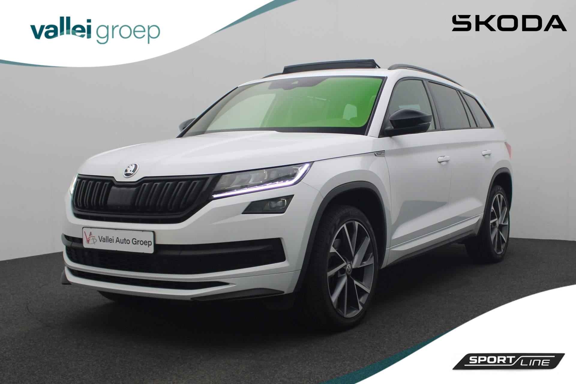 Škoda Kodiaq BOVAG 40-Puntencheck