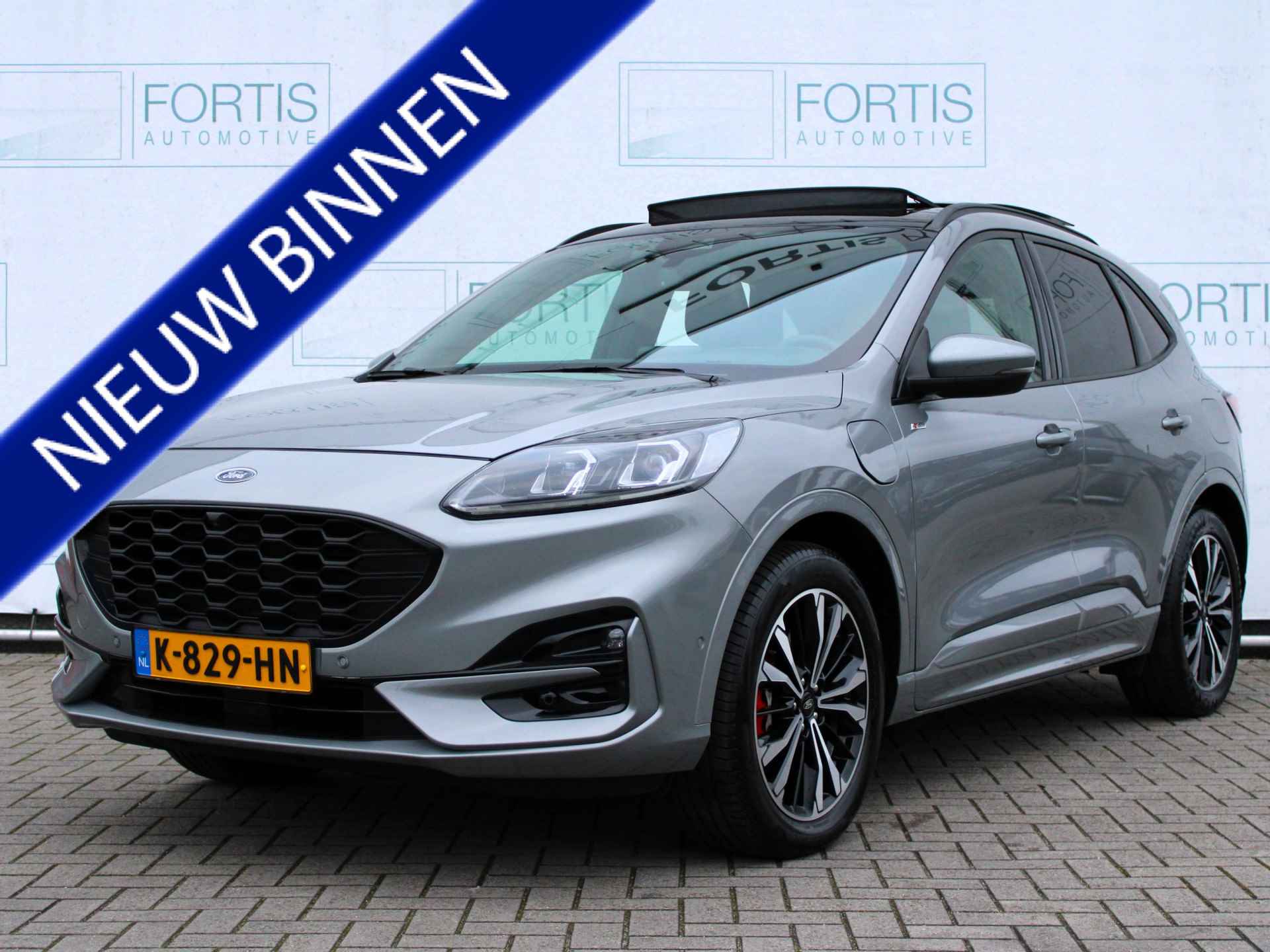 Ford Kuga BOVAG 40-Puntencheck