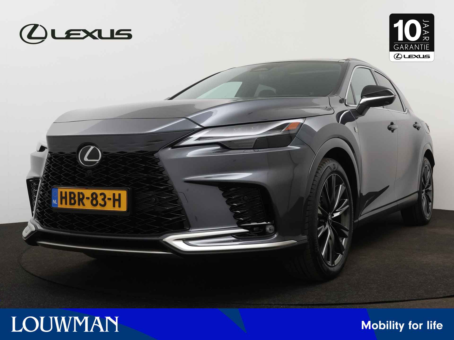 Lexus RX BOVAG 40-Puntencheck