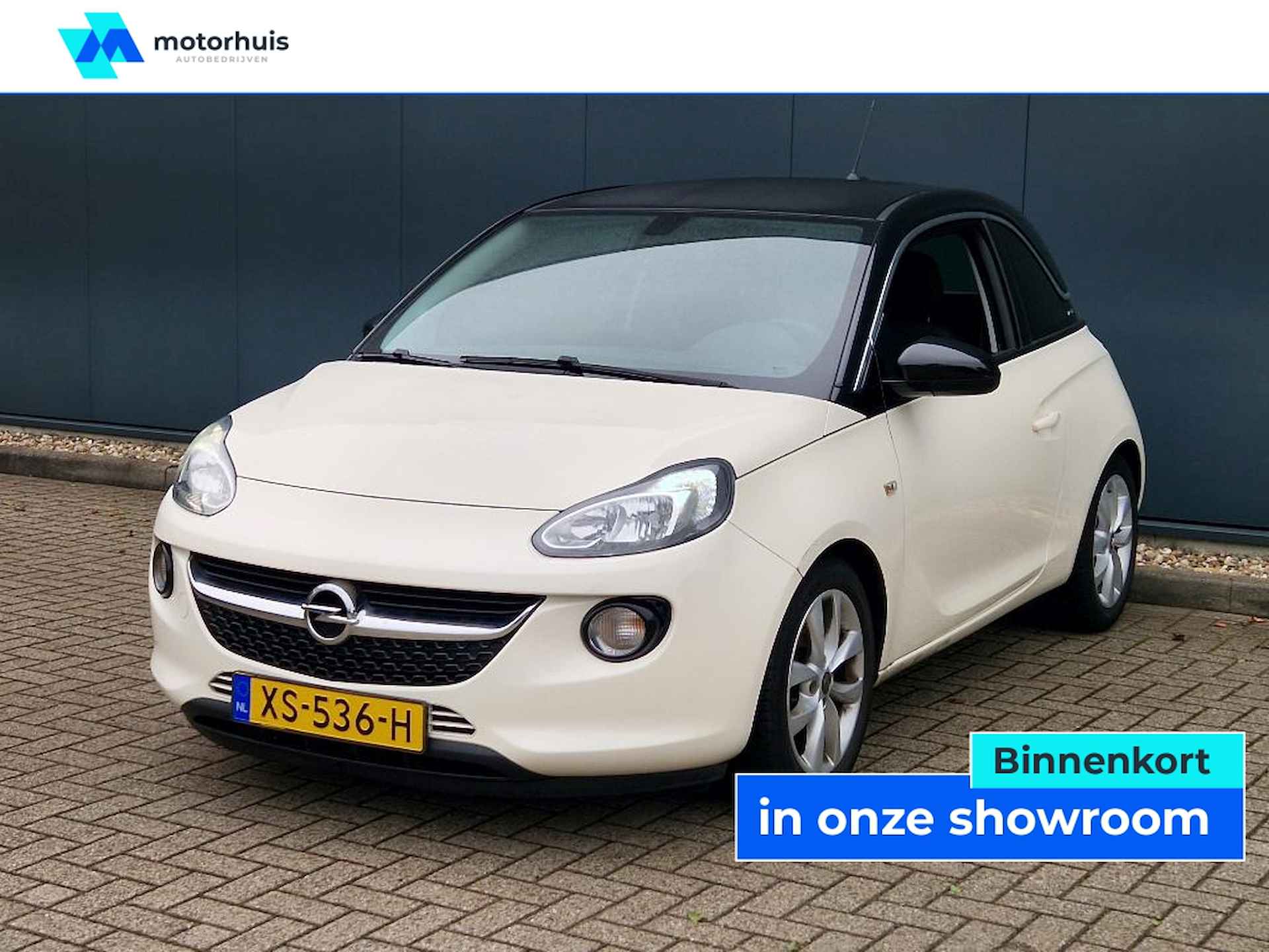 Opel Adam BOVAG 40-Puntencheck