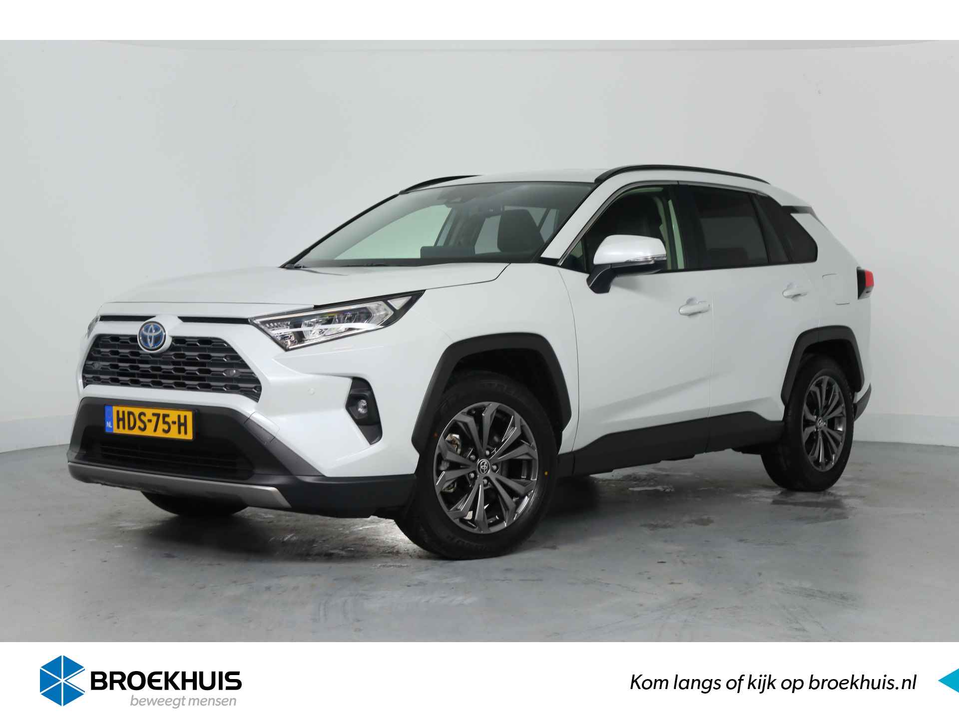 Toyota RAV4 BOVAG 40-Puntencheck