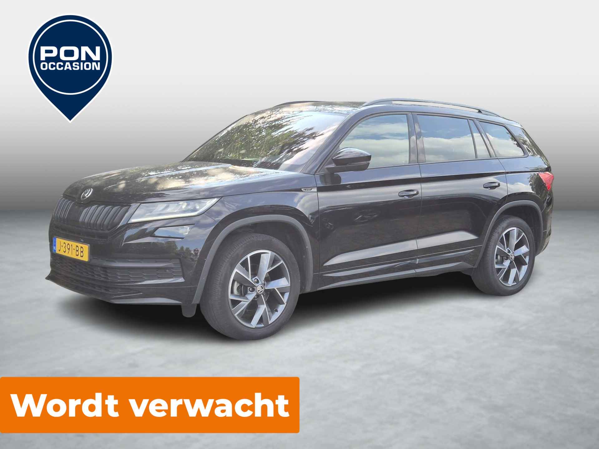 Škoda Kodiaq BOVAG 40-Puntencheck