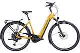 Hercules Futura I-10 150KG Dames Gold matt 53cm 2024