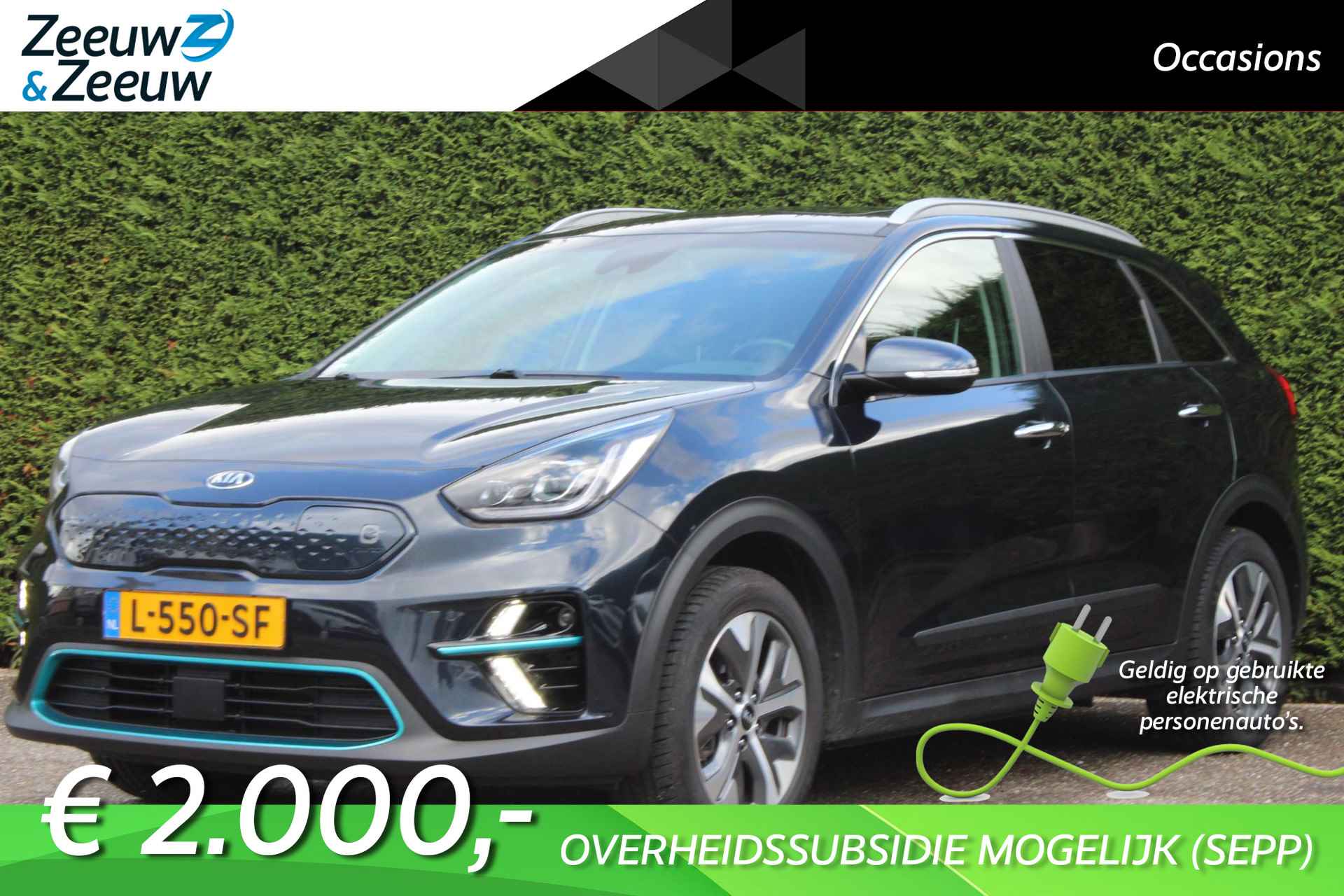 Kia e-Niro BOVAG 40-Puntencheck