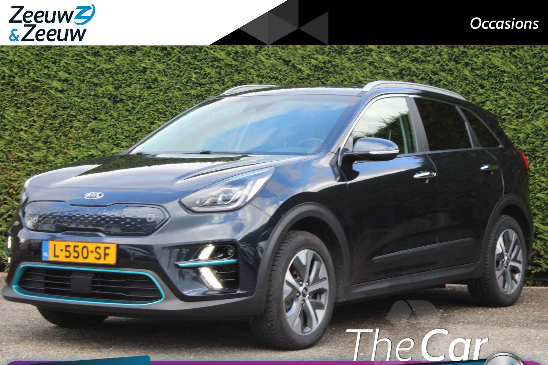 Kia e-Niro BOVAG 40-Puntencheck