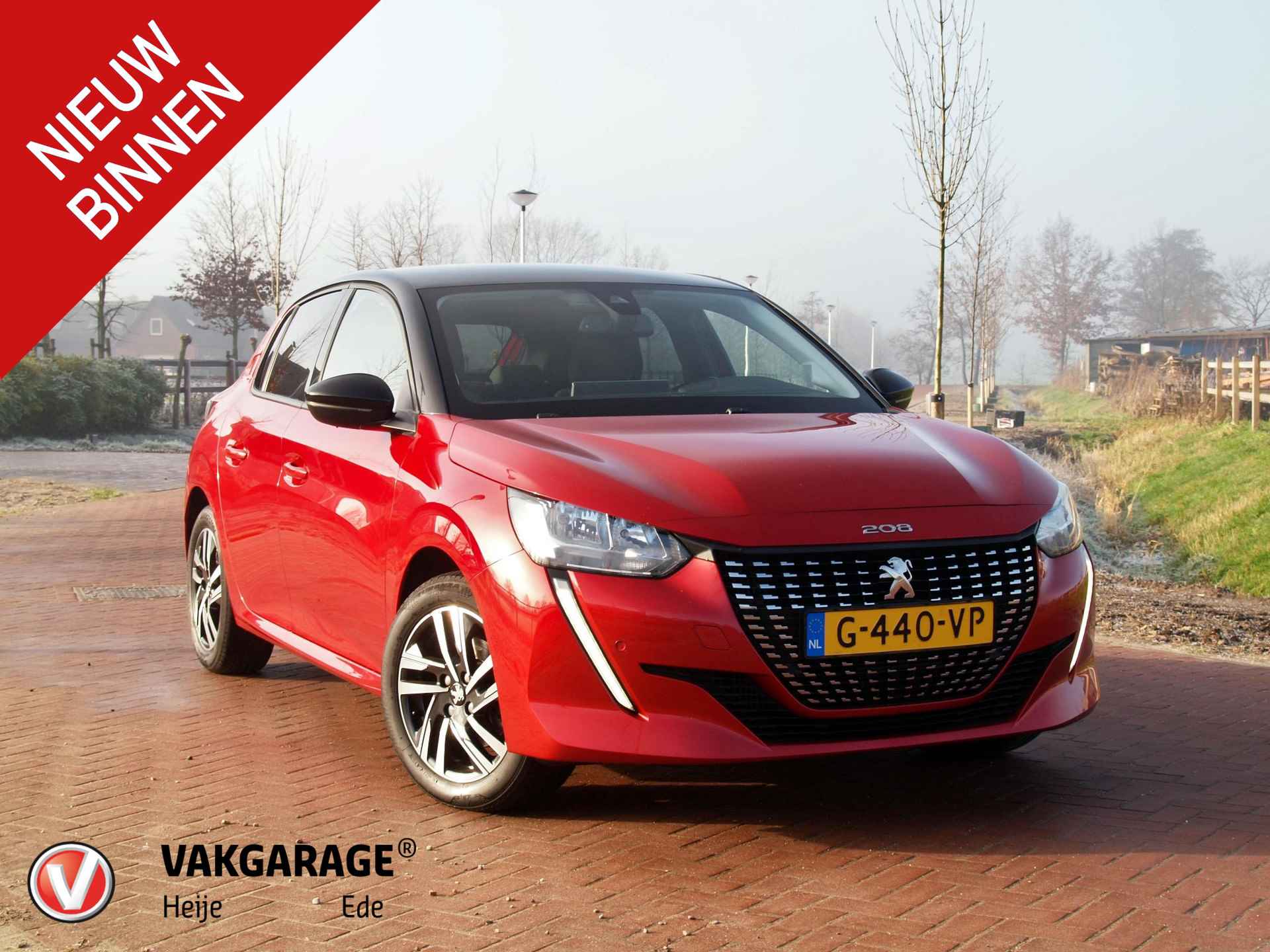 Peugeot 208 BOVAG 40-Puntencheck