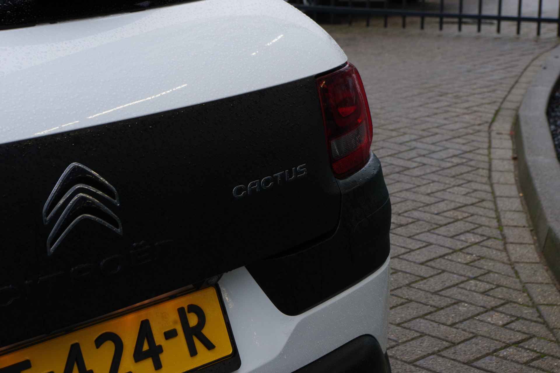 Citroën C4 Cactus 1.2 PureTech Shine, Navigatie, Camera, Cruise Control, Climate Control - 30/36