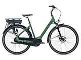 GIANT Entour E+ 1 dames 300Wh Dames Shale Green S 45cm S 2023