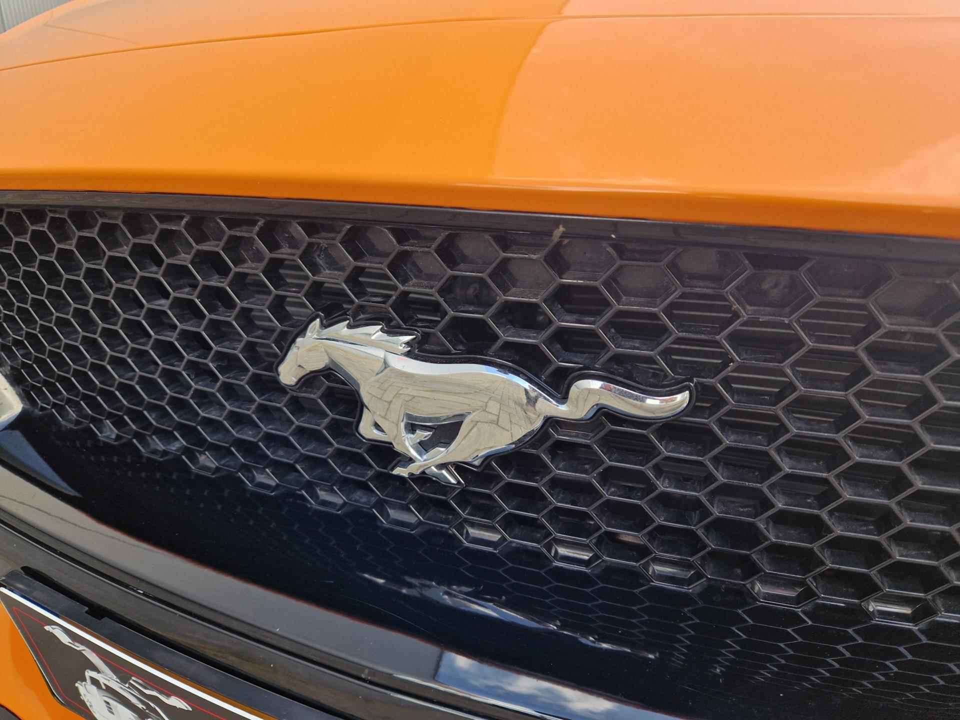 Ford USA Mustang 2.3ecoboost 310pk handbak! - 7/32