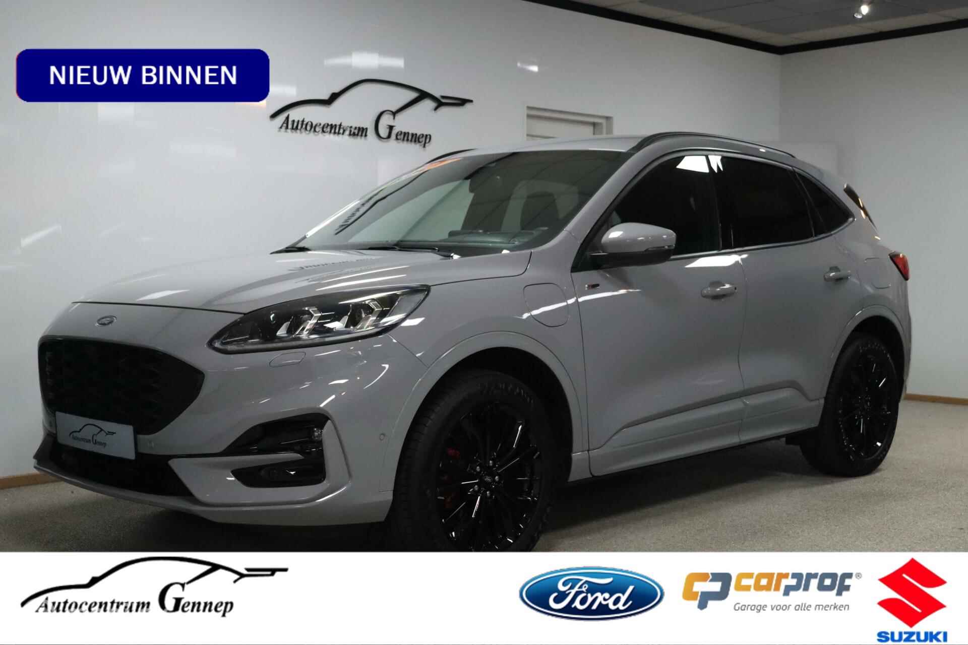 Ford Kuga BOVAG 40-Puntencheck