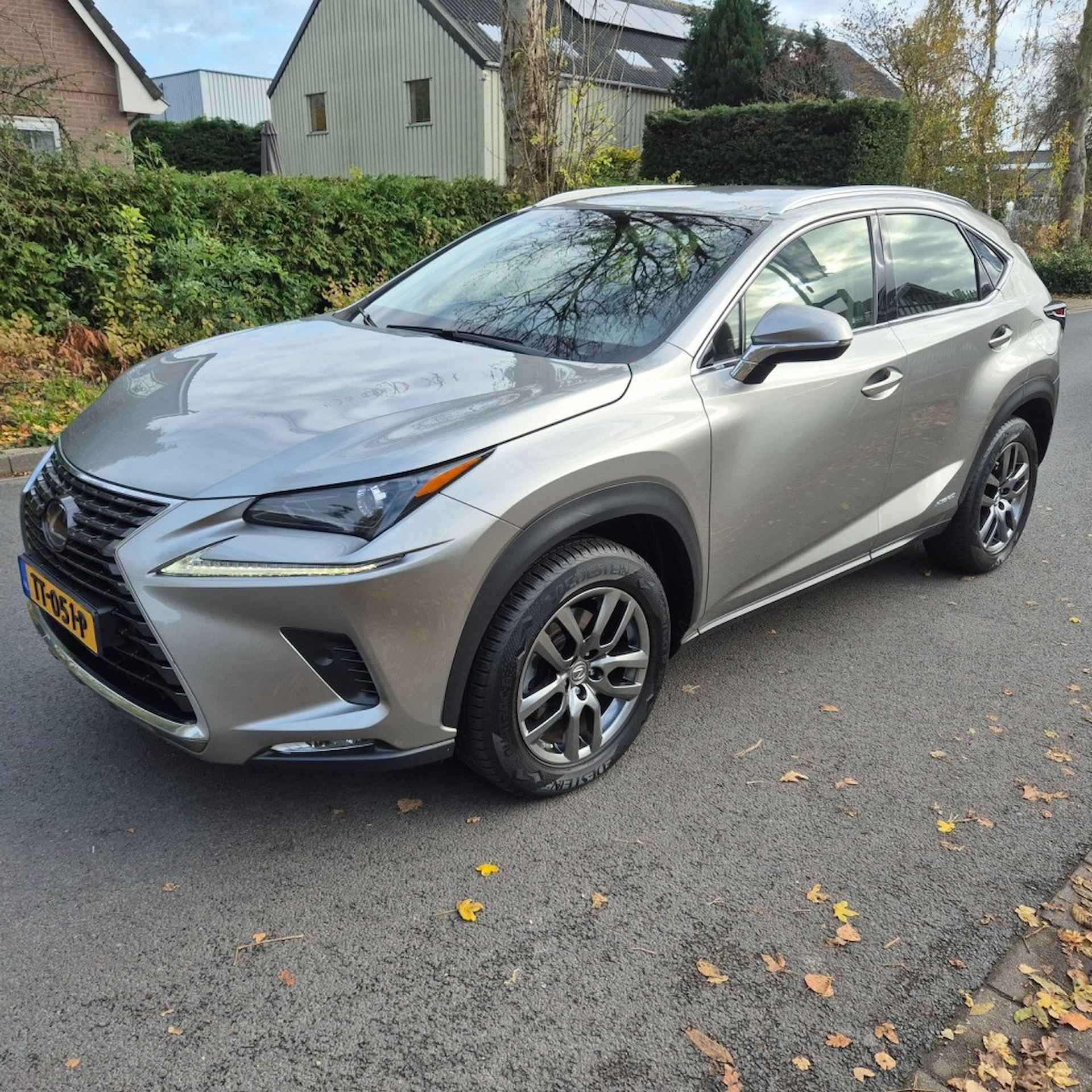 LEXUS Nx 300 nx 300h awd Business line - 6/8