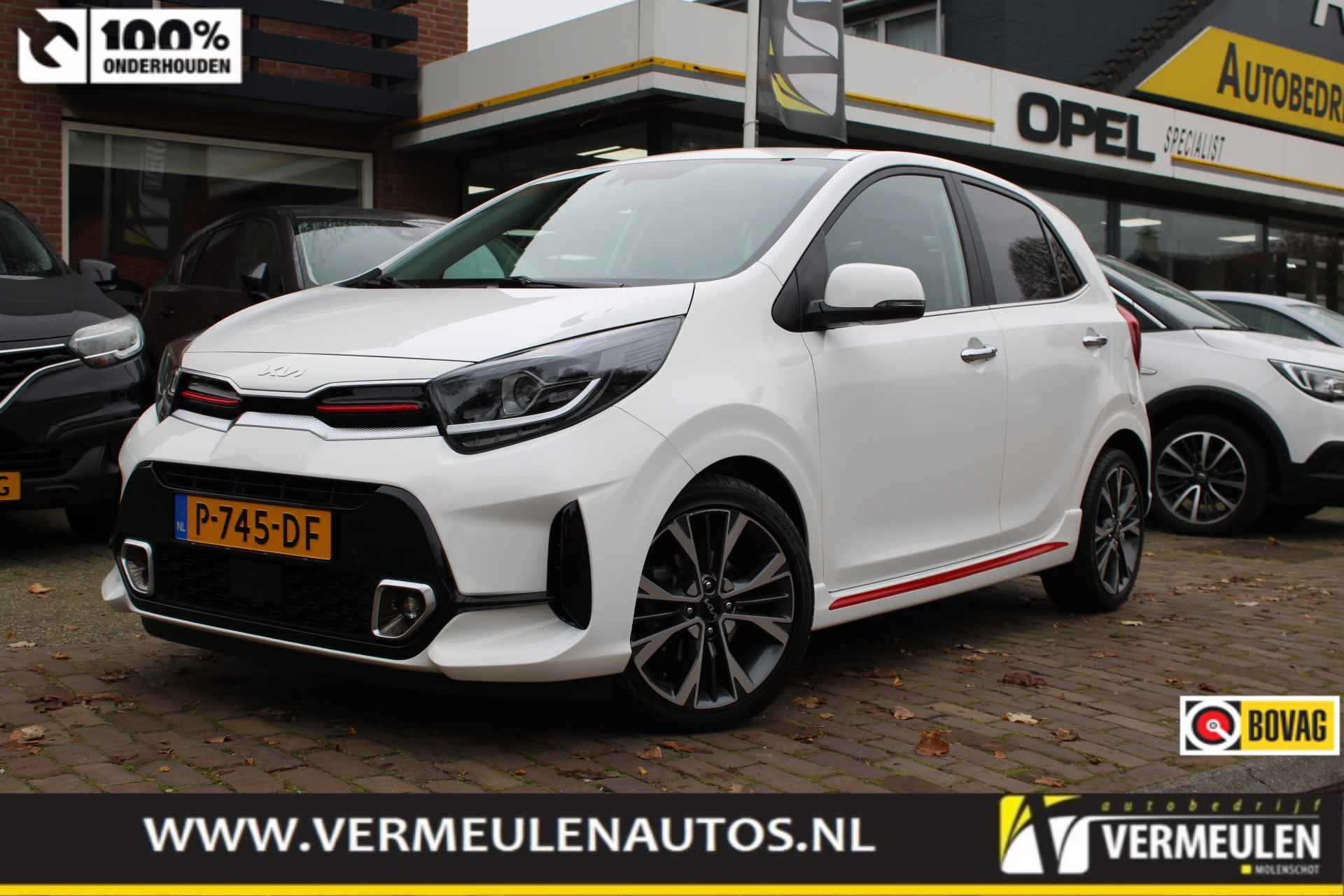 Kia Picanto BOVAG 40-Puntencheck