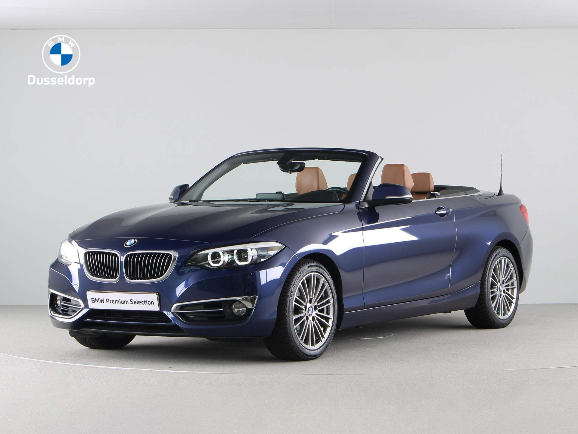 BMW 2 Serie 218i High Executive Luxury Line