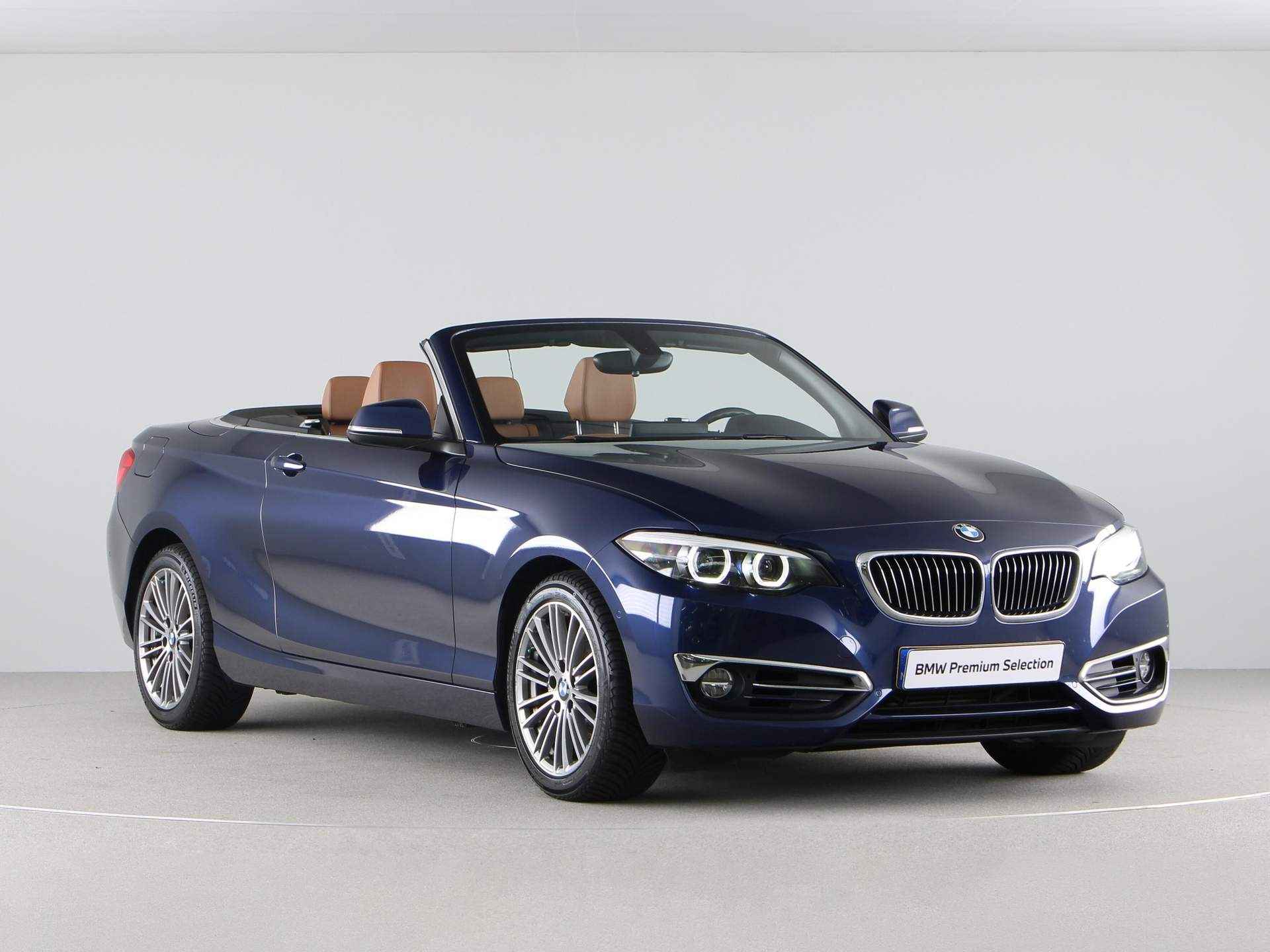 BMW 2 Serie 218i High Executive Luxury Line - 11/31