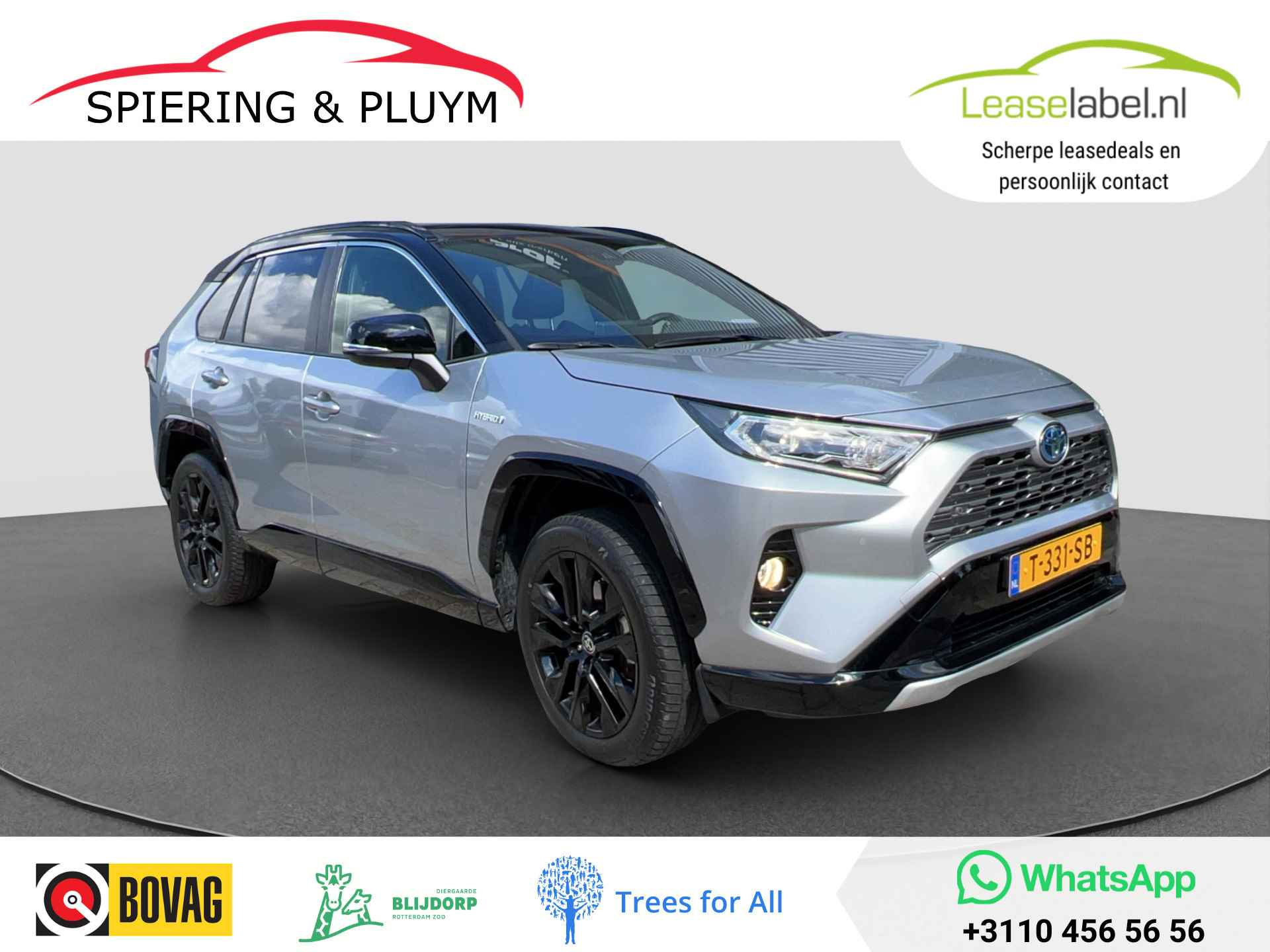 Toyota RAV4 BOVAG 40-Puntencheck