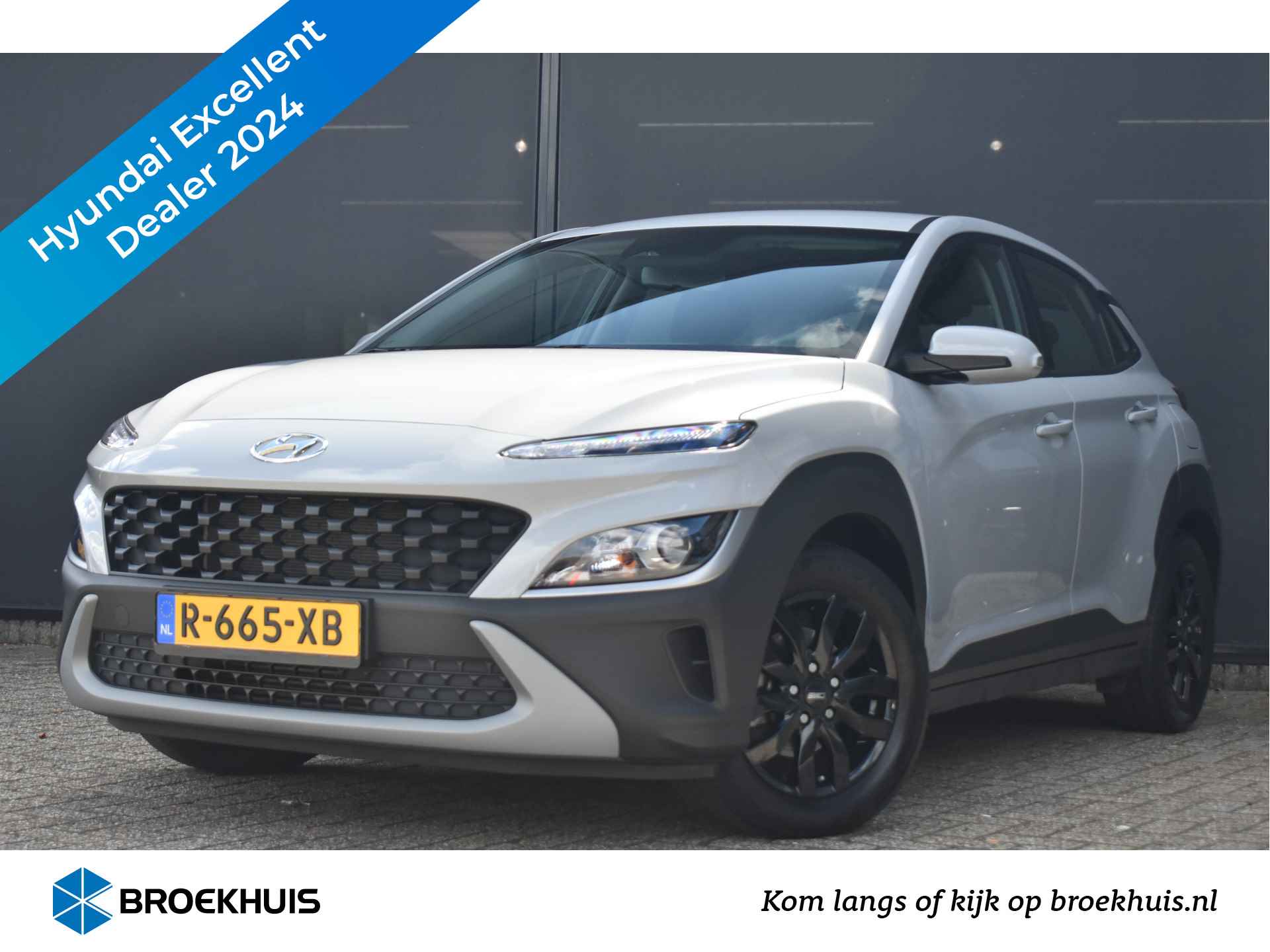 Hyundai Kona BOVAG 40-Puntencheck