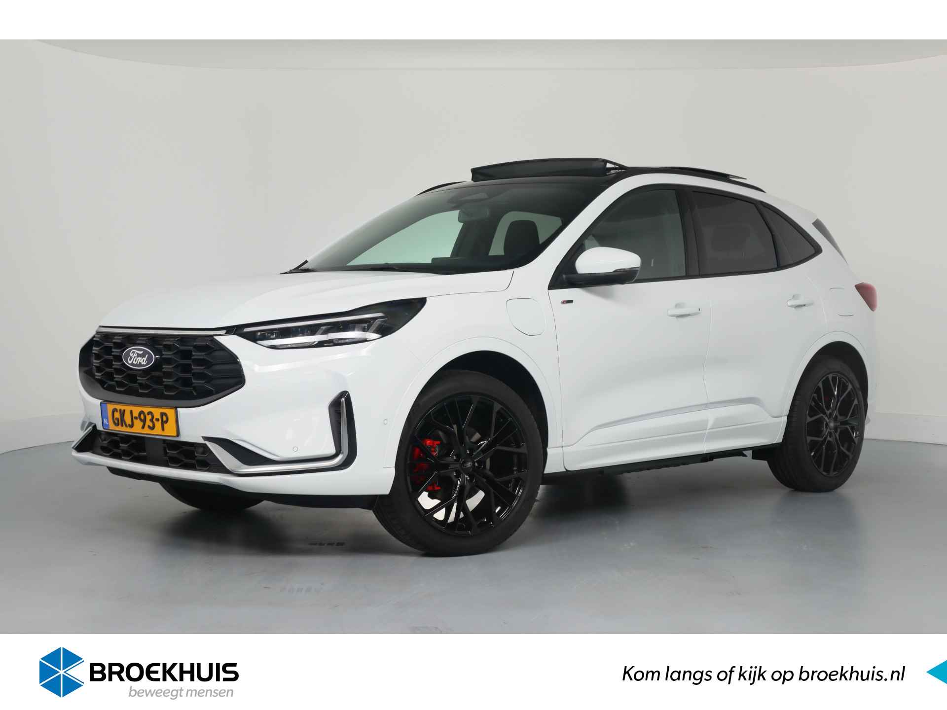 Ford Kuga BOVAG 40-Puntencheck