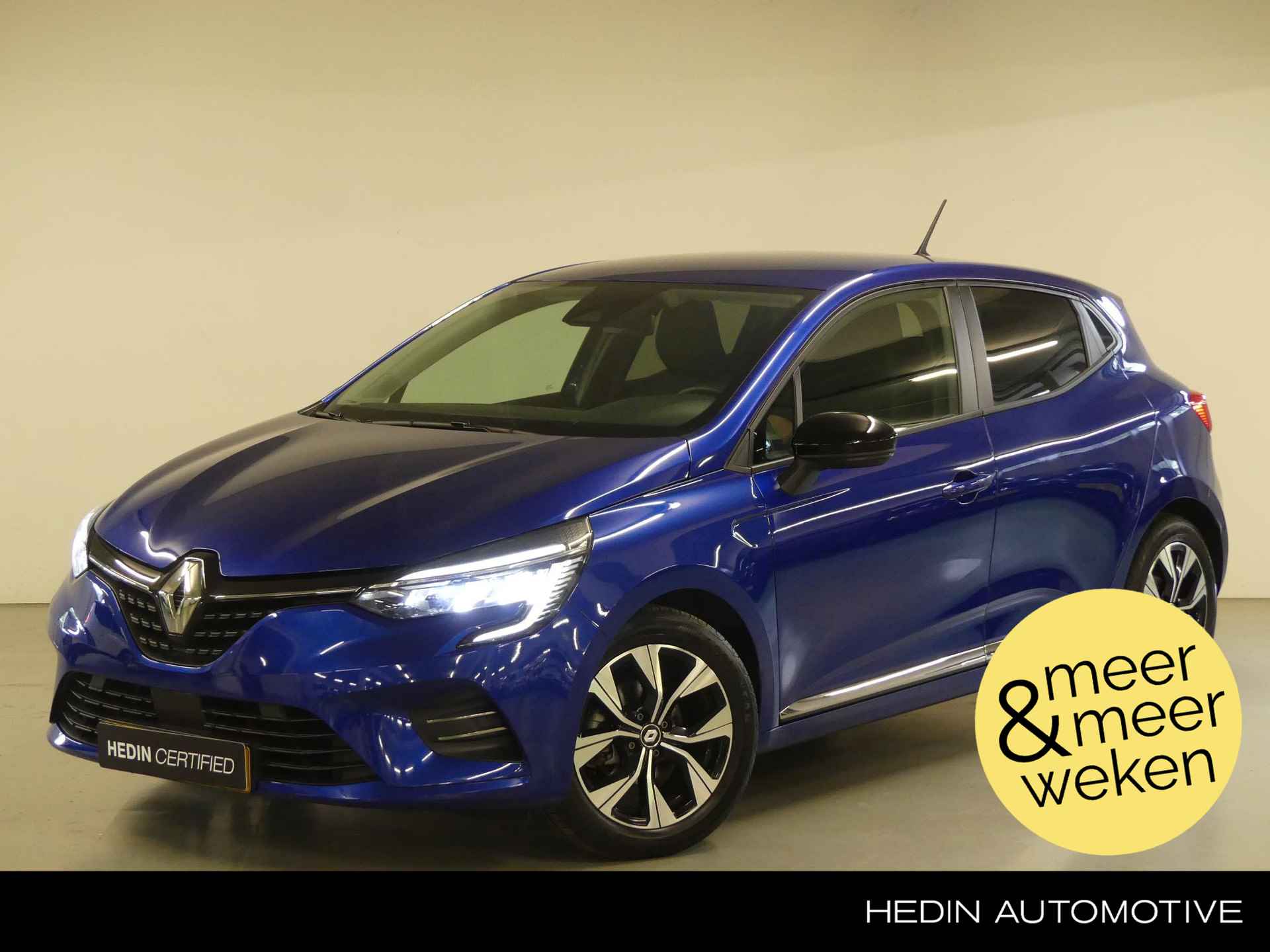 Renault Clio BOVAG 40-Puntencheck