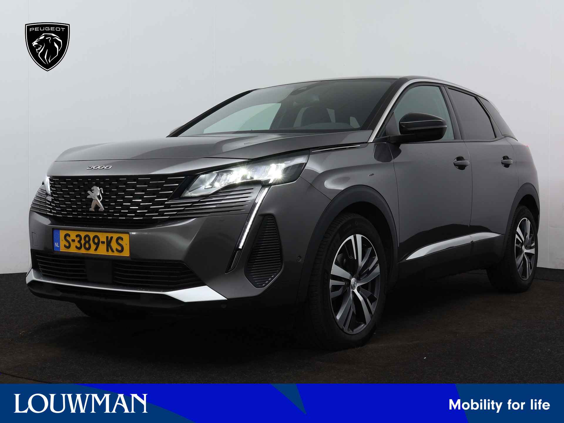 Peugeot 3008 BOVAG 40-Puntencheck