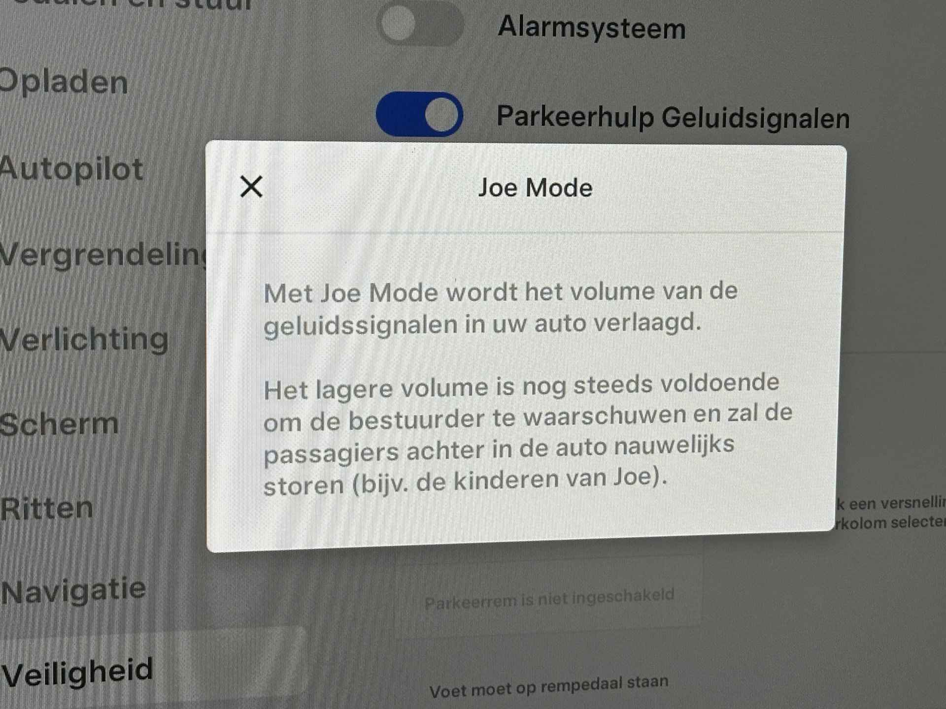 Tesla Model Y Performance AWD 75 kWh Dual Motor | LED |  Autopilot | DAB | Bluetooth | PDC v+a incl. Camera - 61/88