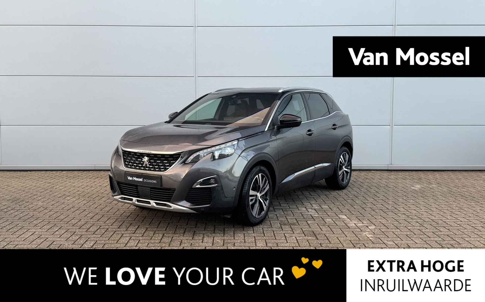 Peugeot 3008 BOVAG 40-Puntencheck