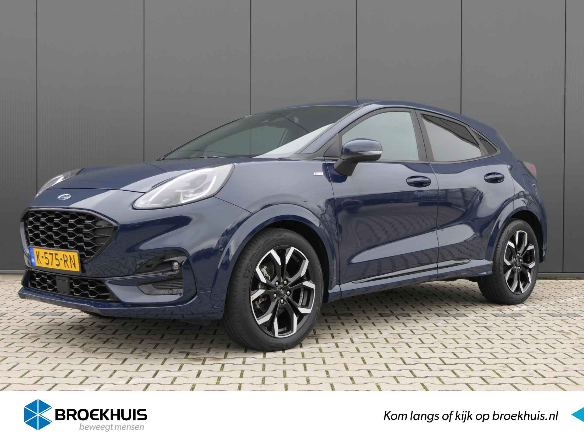 Ford Puma BOVAG 40-Puntencheck