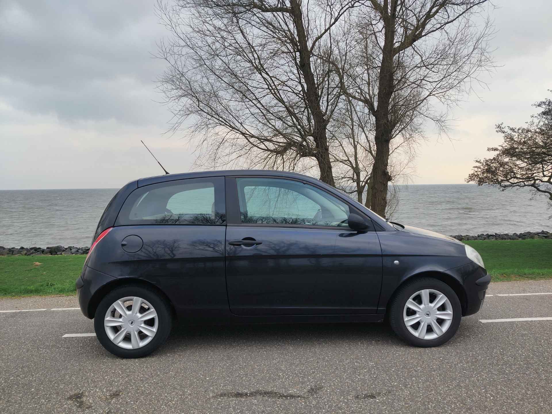 Lancia Ypsilon 1.2 Argento | Nw. Distributieriem en WP - 10/22