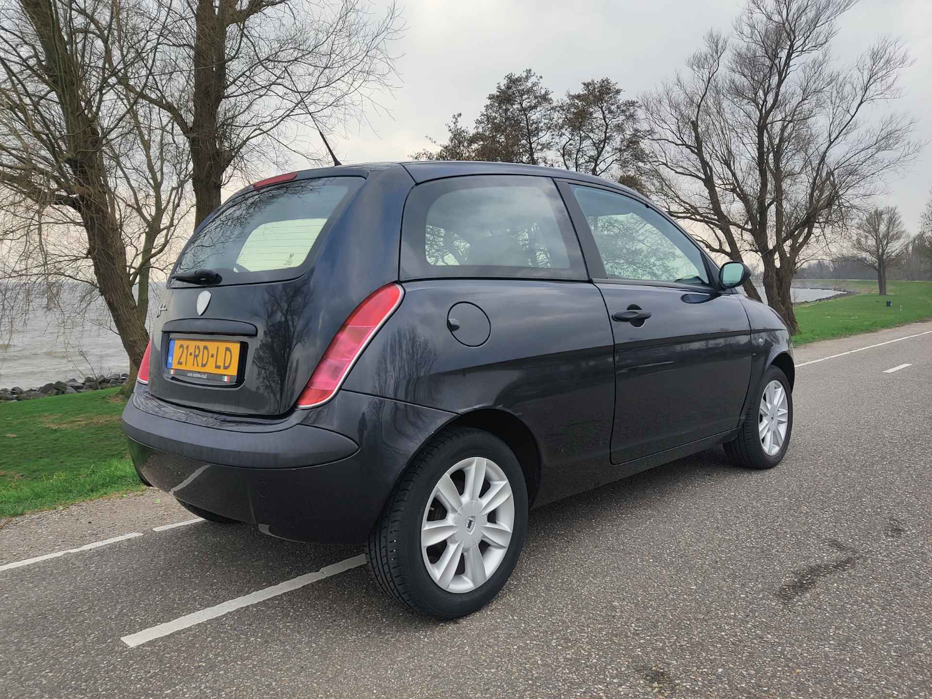 Lancia Ypsilon 1.2 Argento | Nw. Distributieriem en WP - 11/22