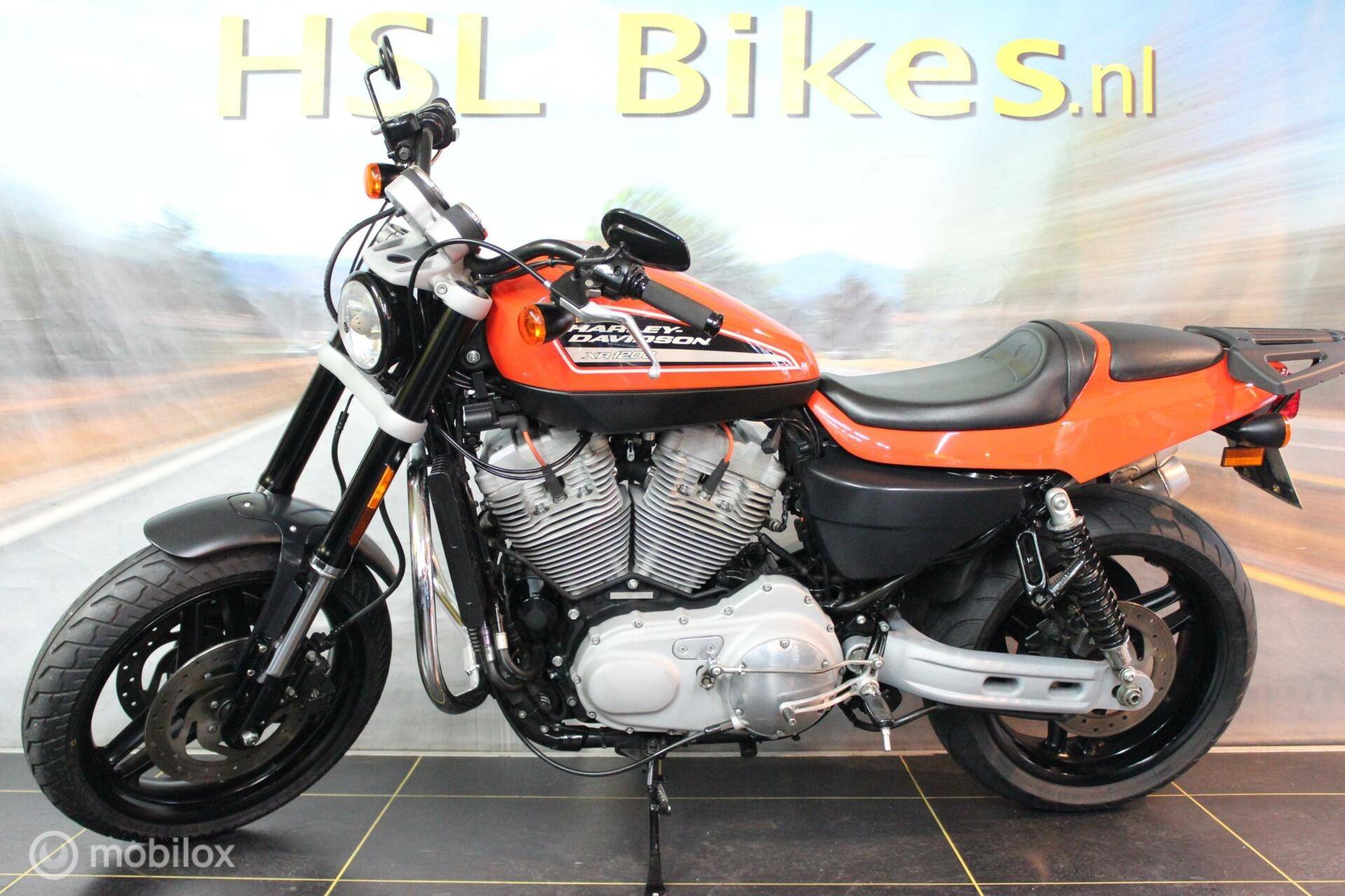 Harley Davidson XR 1200 - 2/7