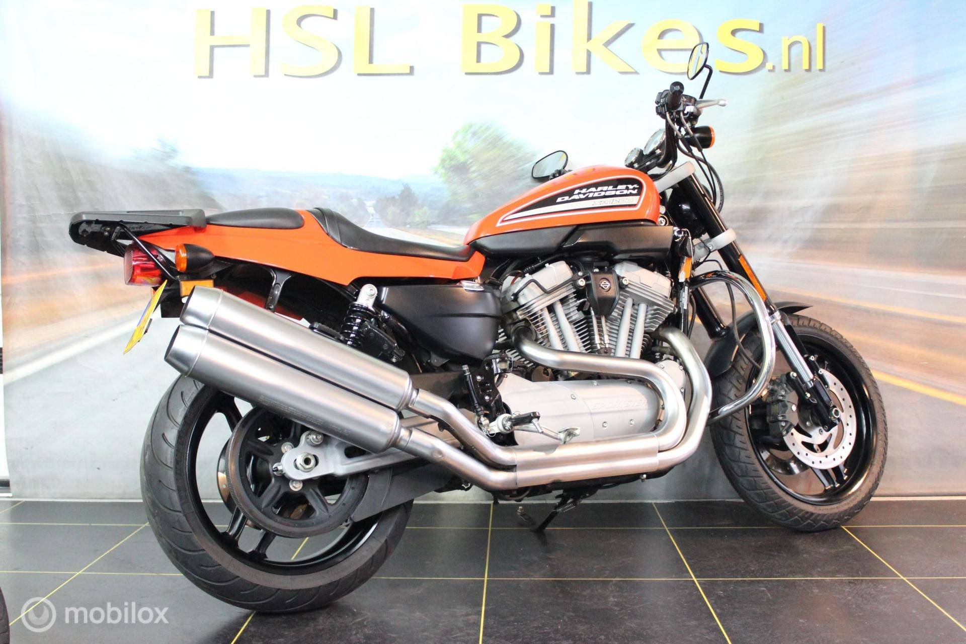Harley Davidson XR 1200 - 3/7