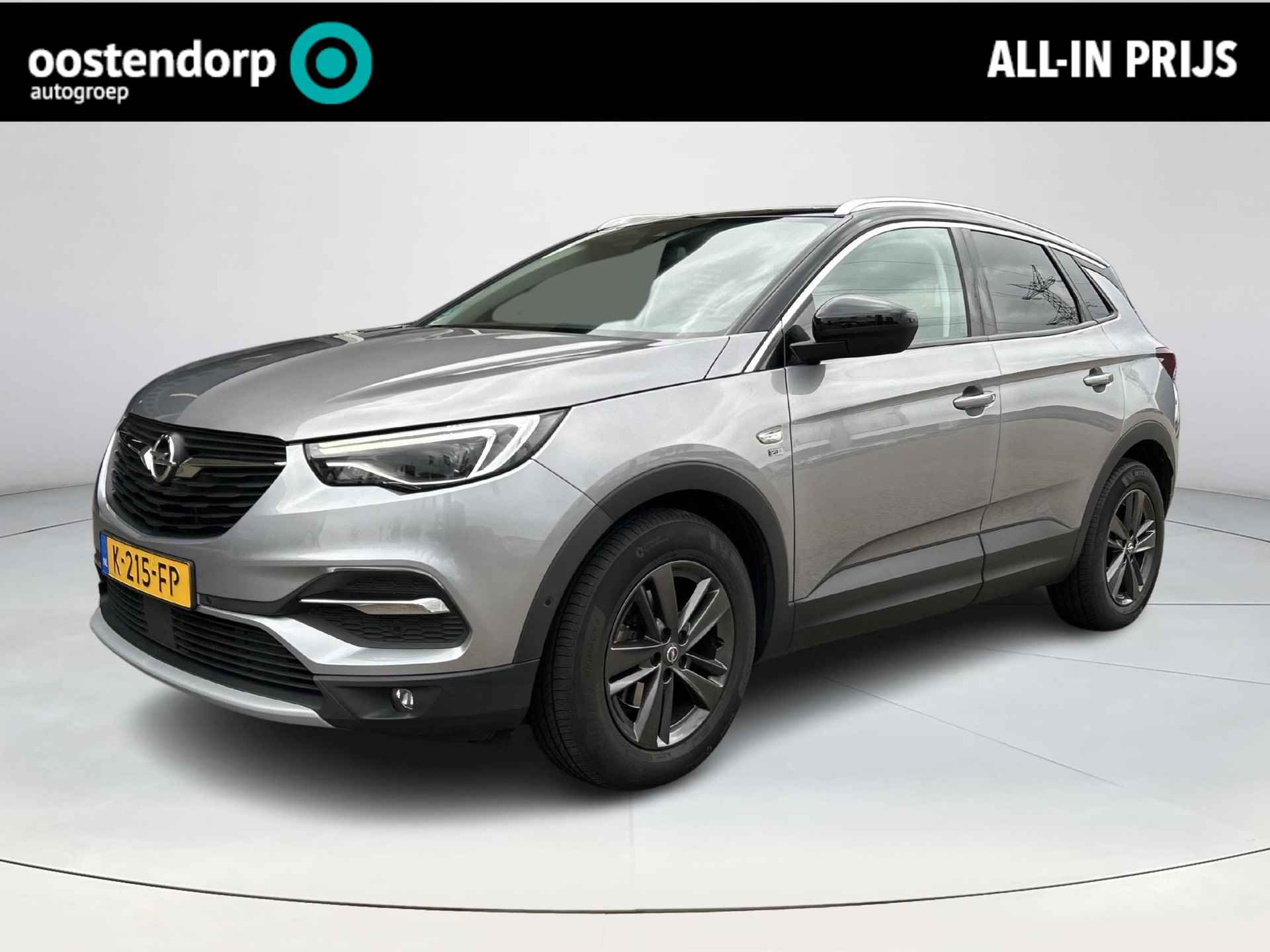 Opel Grandland X BOVAG 40-Puntencheck