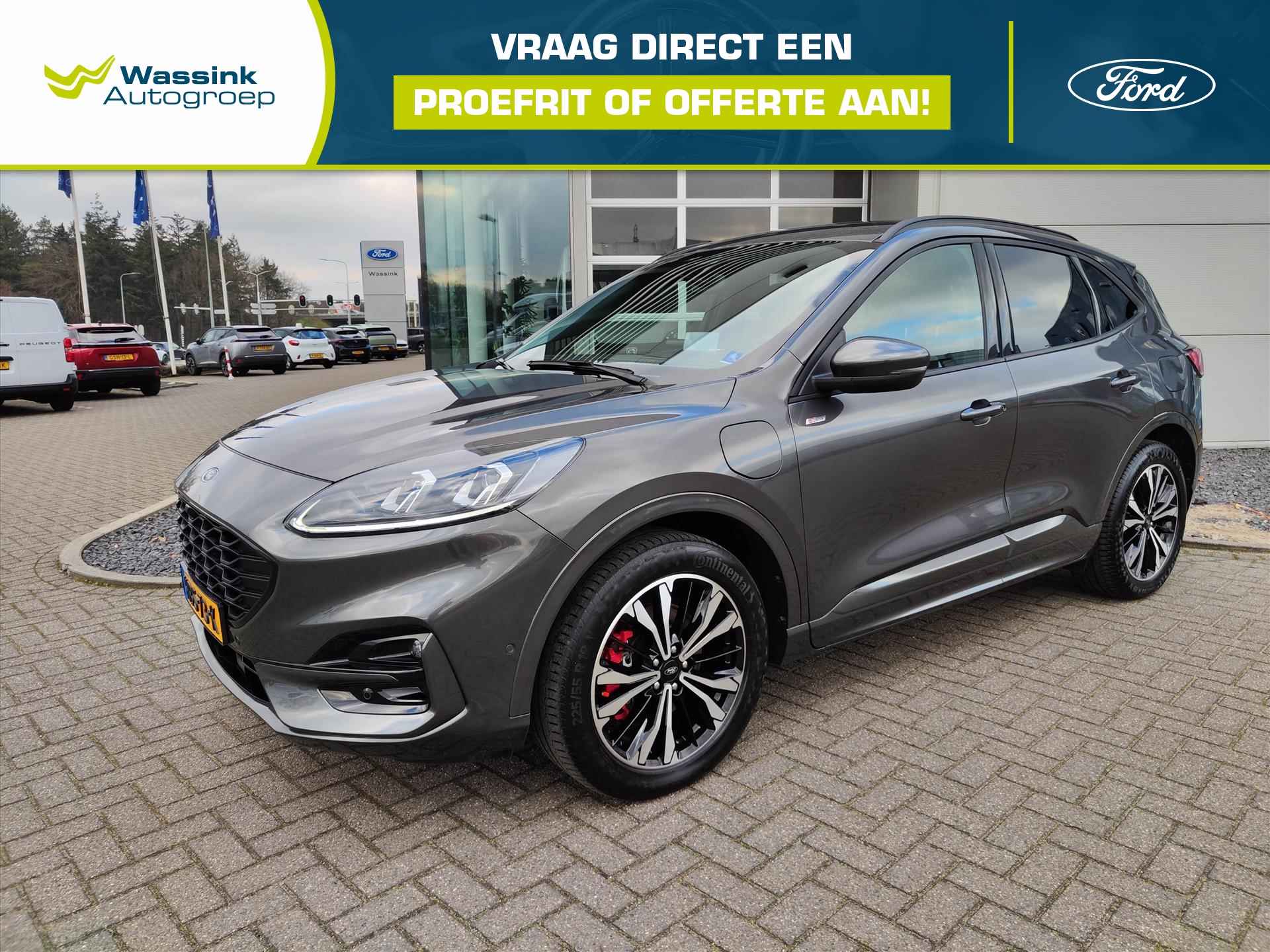 Ford Kuga BOVAG 40-Puntencheck