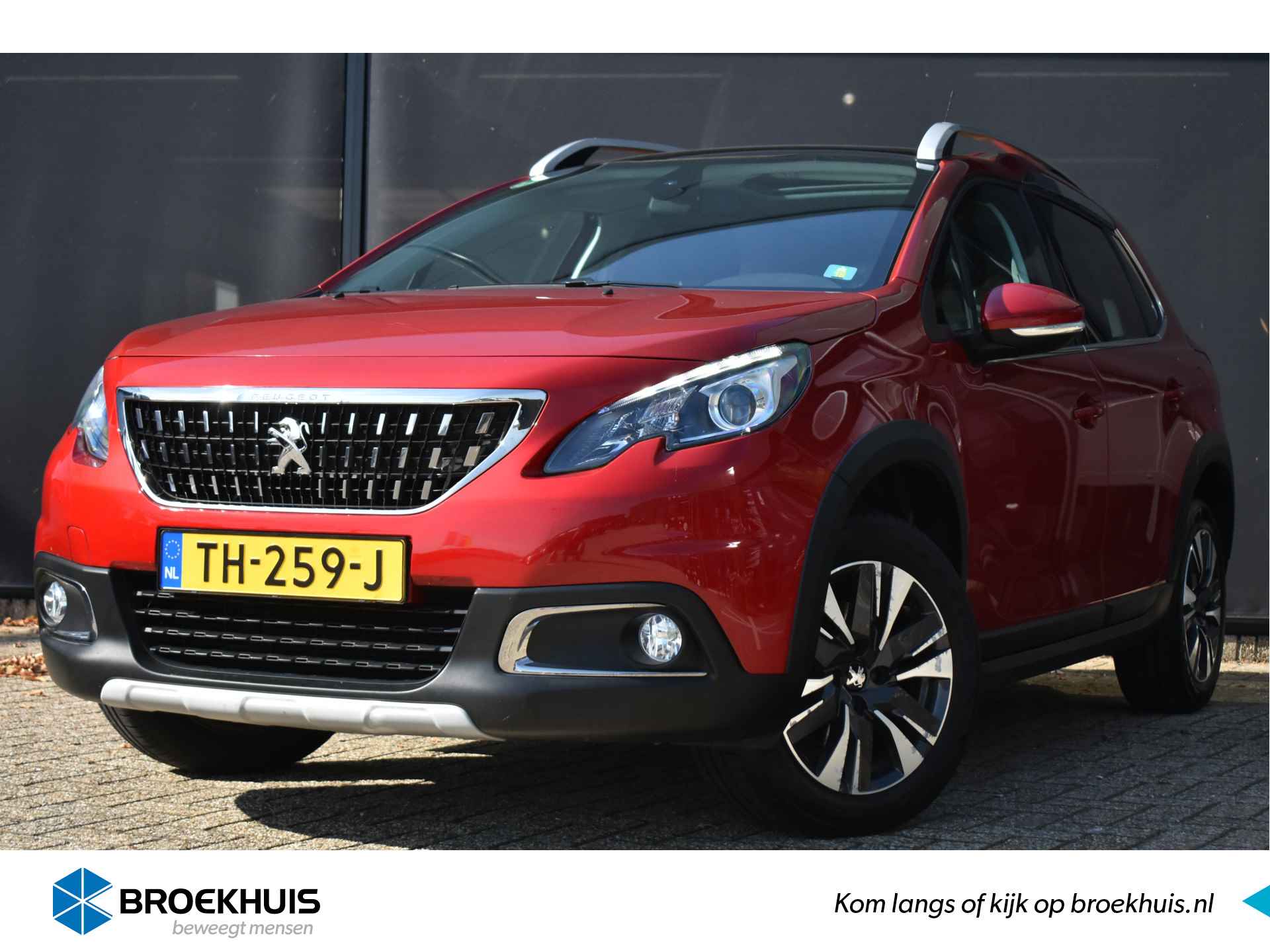 Peugeot 2008 BOVAG 40-Puntencheck