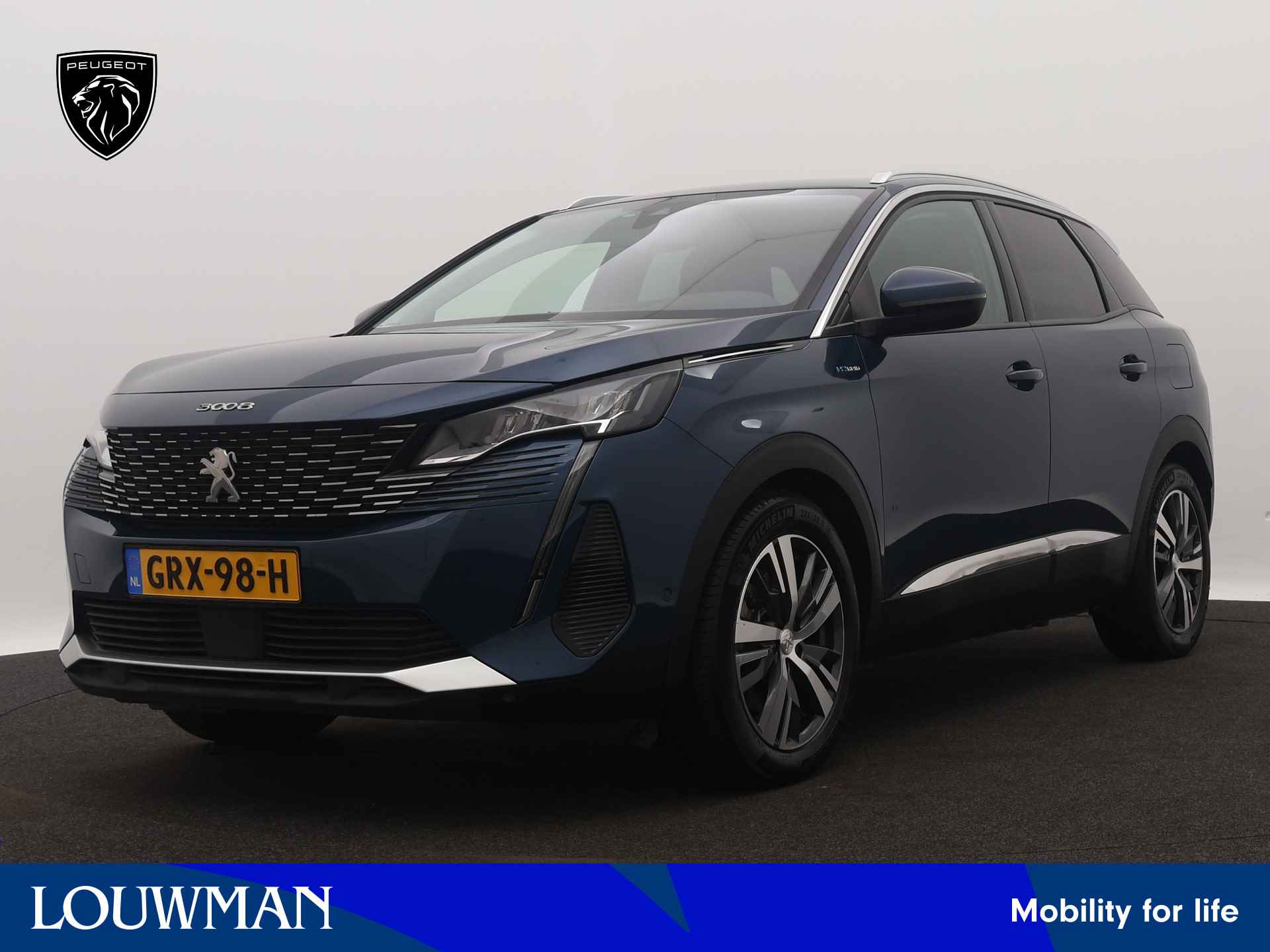 Peugeot 3008 BOVAG 40-Puntencheck