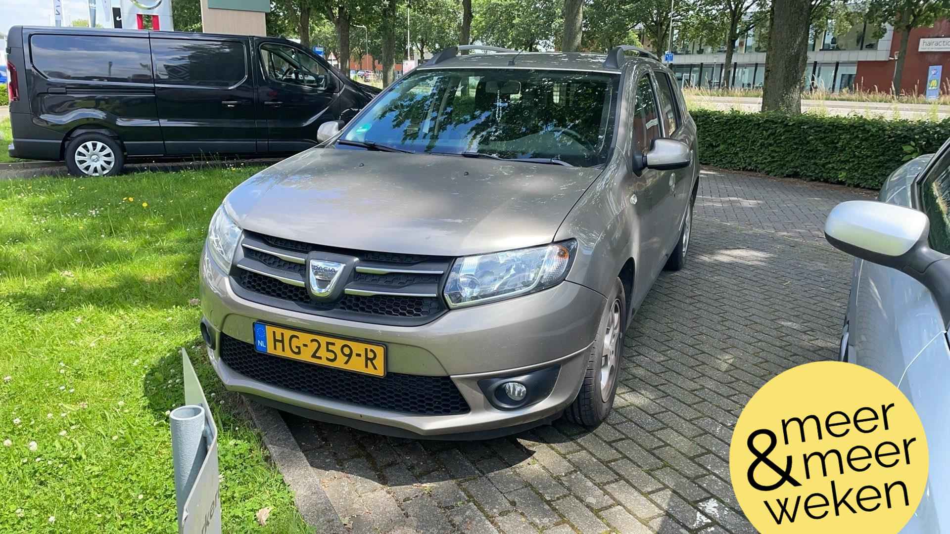 Dacia Logan BOVAG 40-Puntencheck