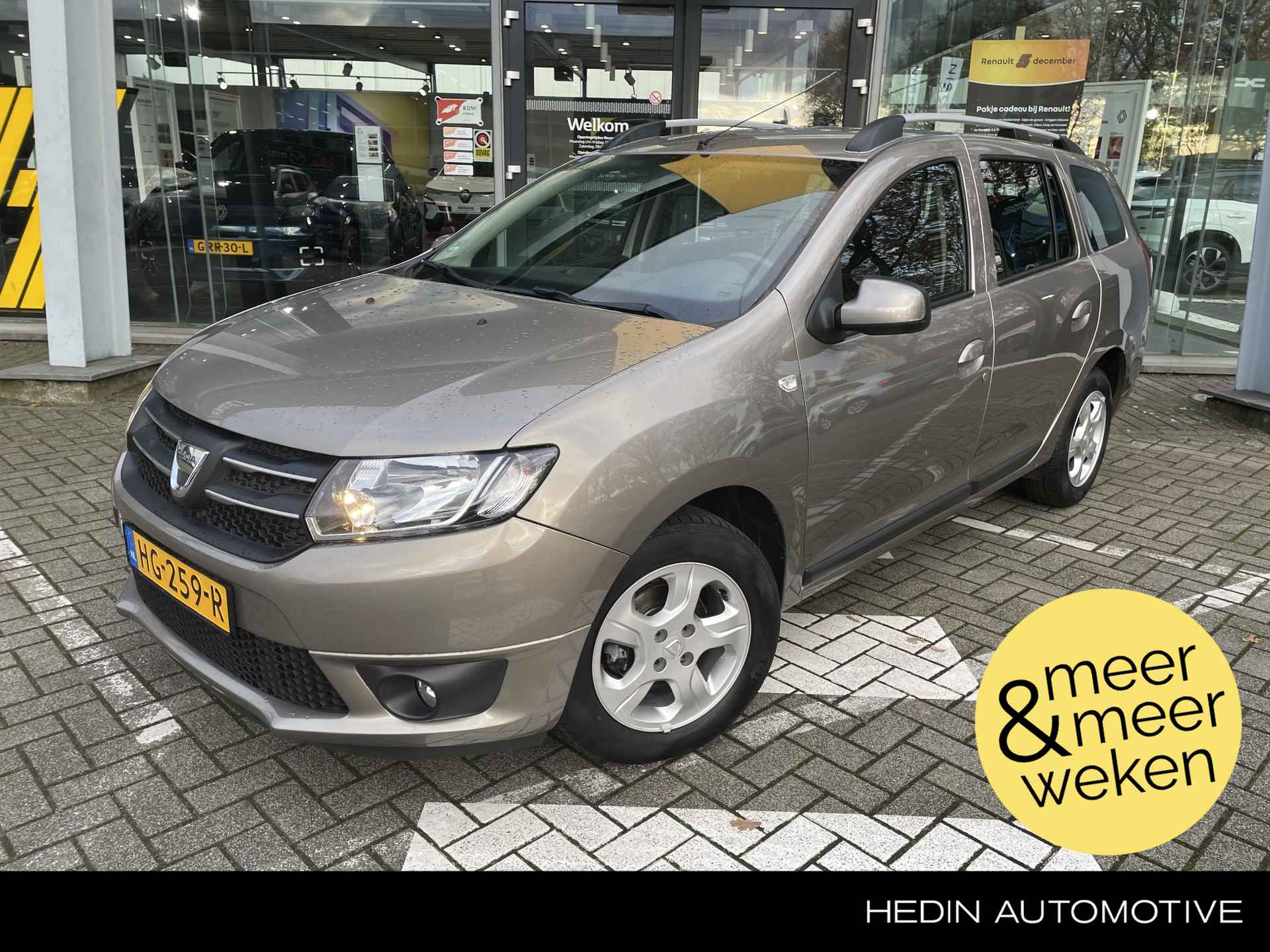 Dacia Logan BOVAG 40-Puntencheck