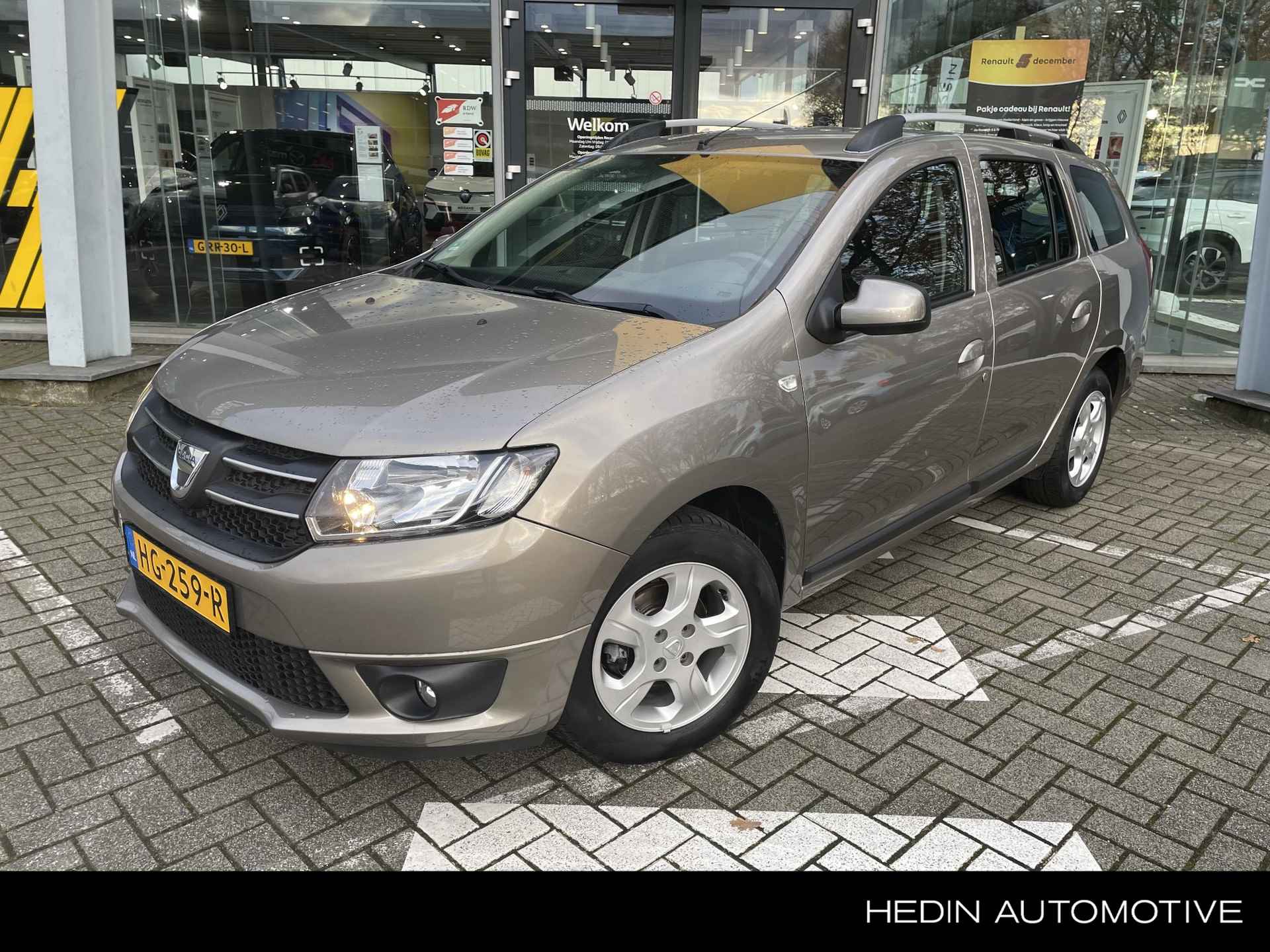 Dacia Logan BOVAG 40-Puntencheck