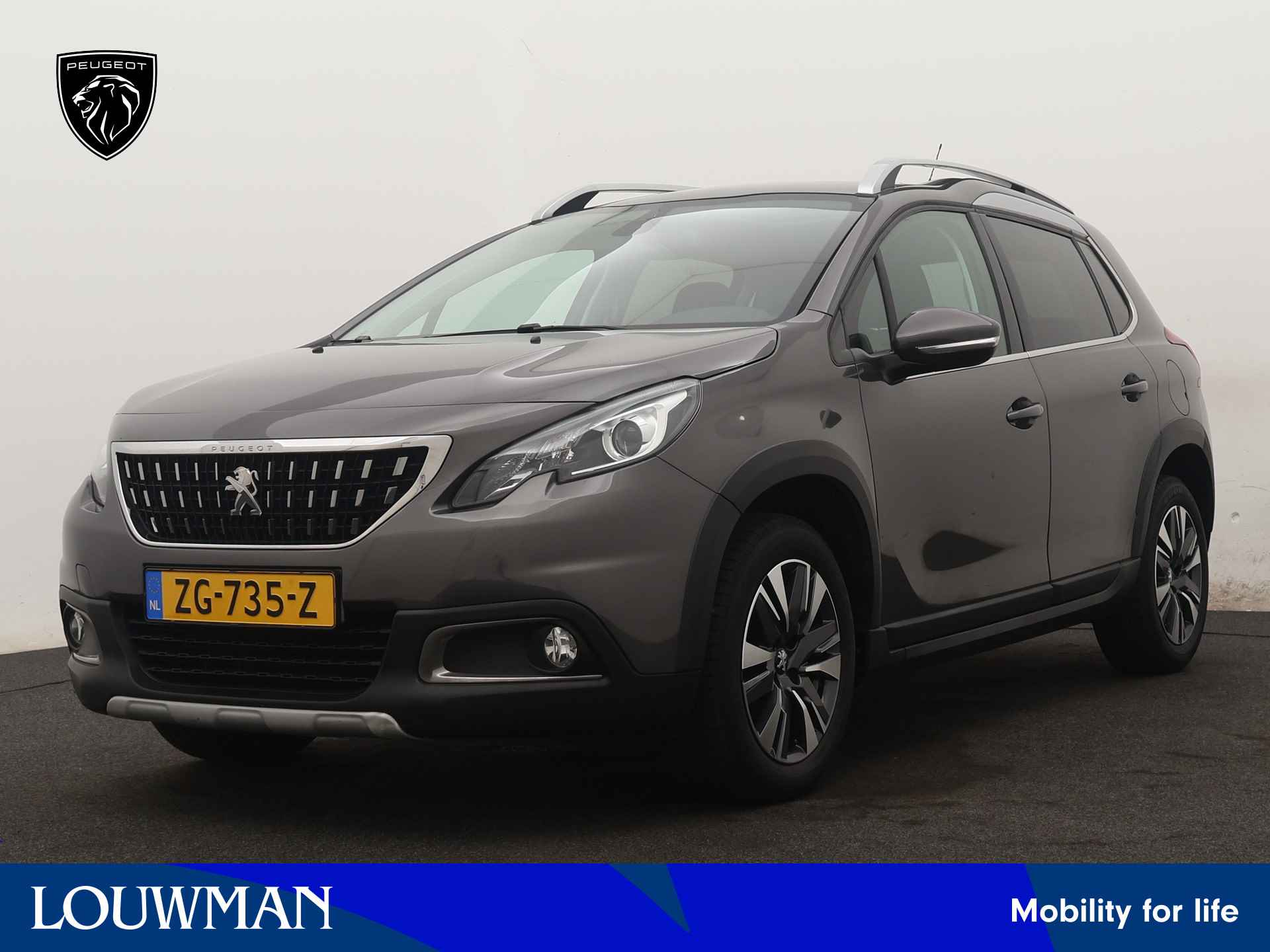 Peugeot 2008 BOVAG 40-Puntencheck