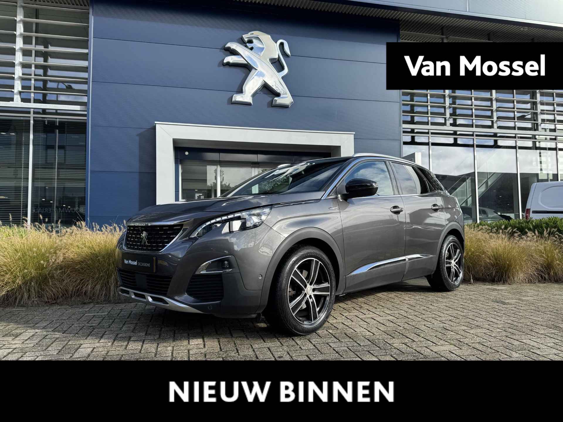 Peugeot 3008 BOVAG 40-Puntencheck