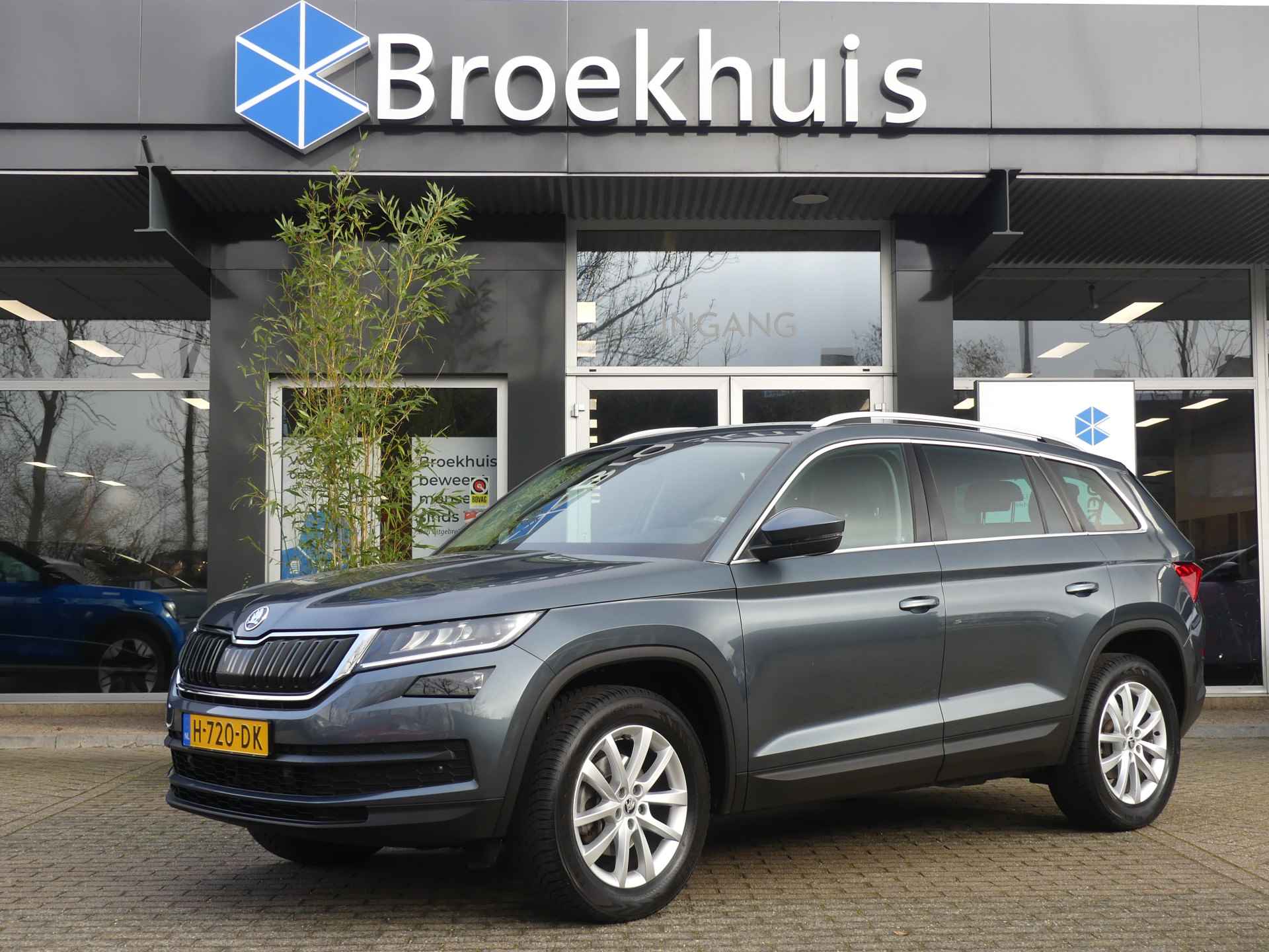 Škoda Kodiaq BOVAG 40-Puntencheck