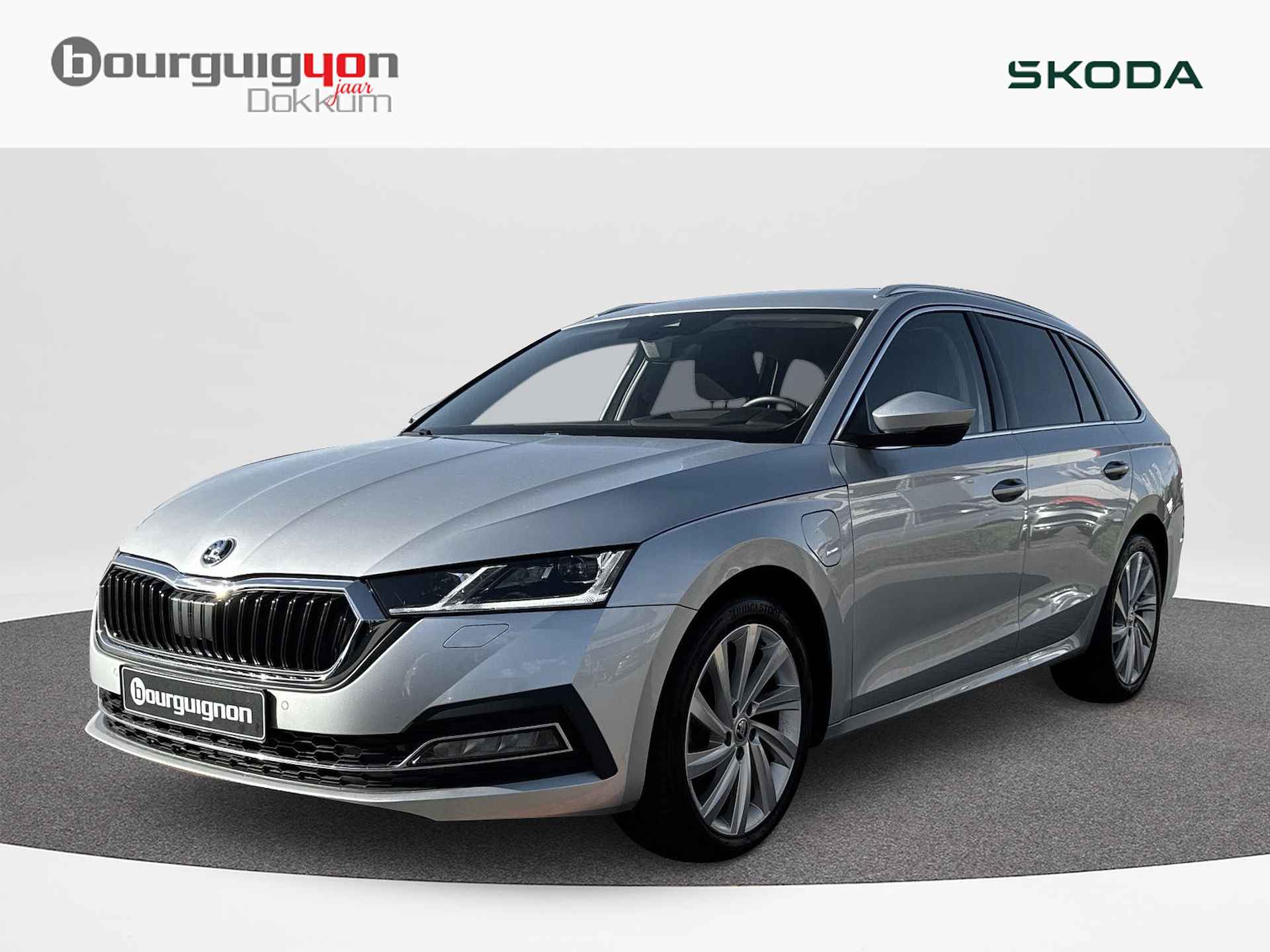 Škoda Octavia BOVAG 40-Puntencheck