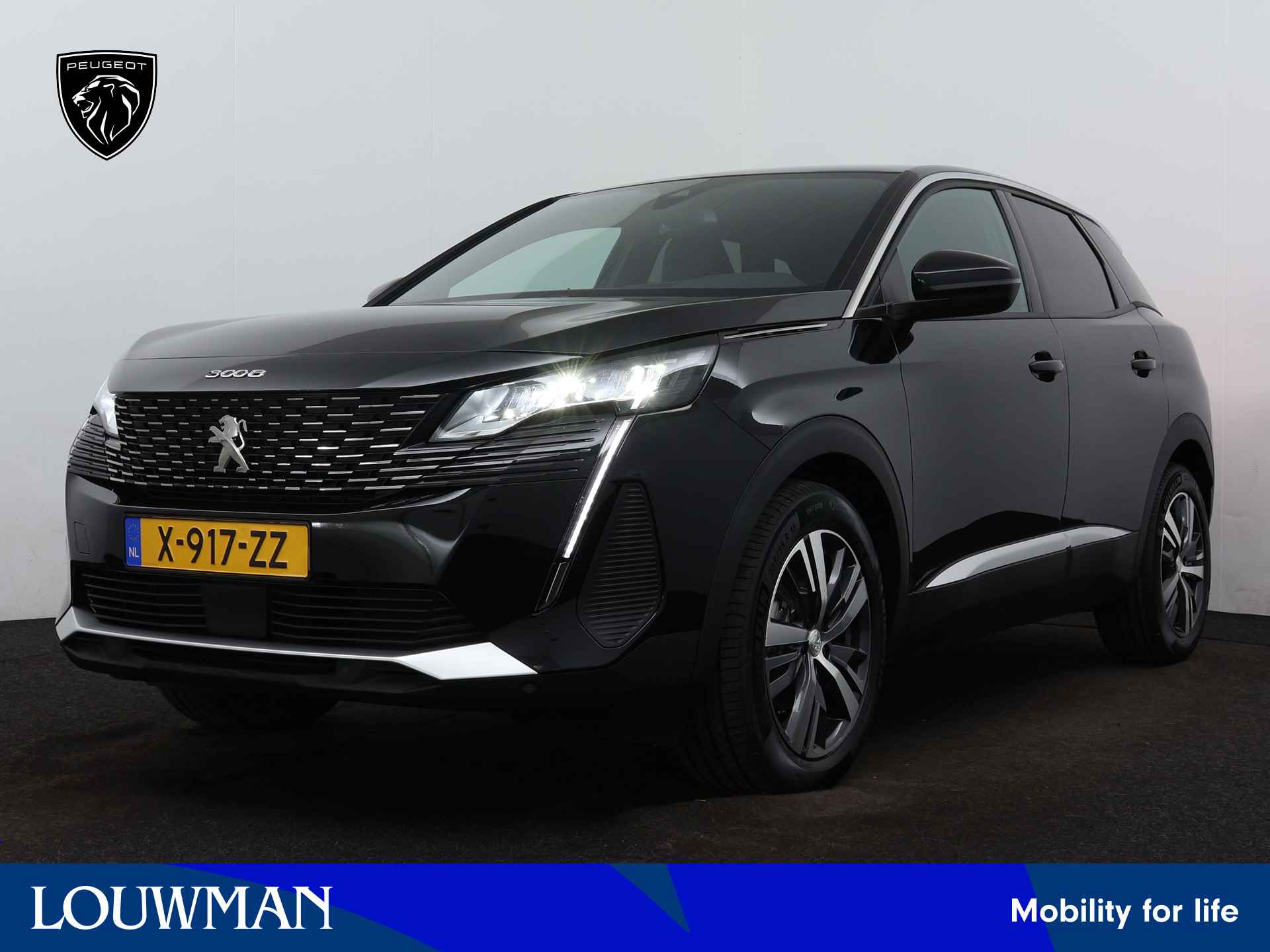 Peugeot 3008 BOVAG 40-Puntencheck