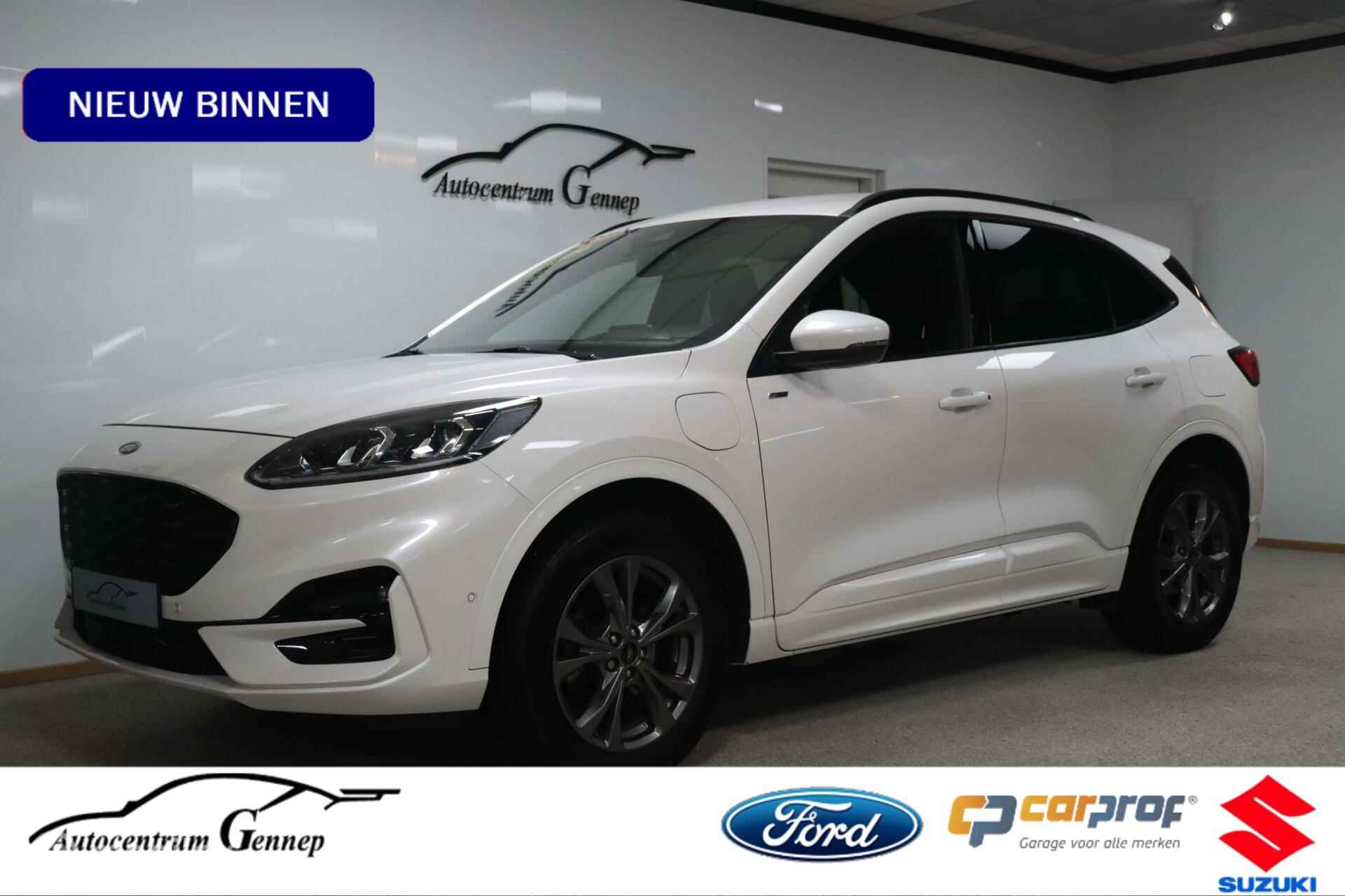 Ford Kuga BOVAG 40-Puntencheck