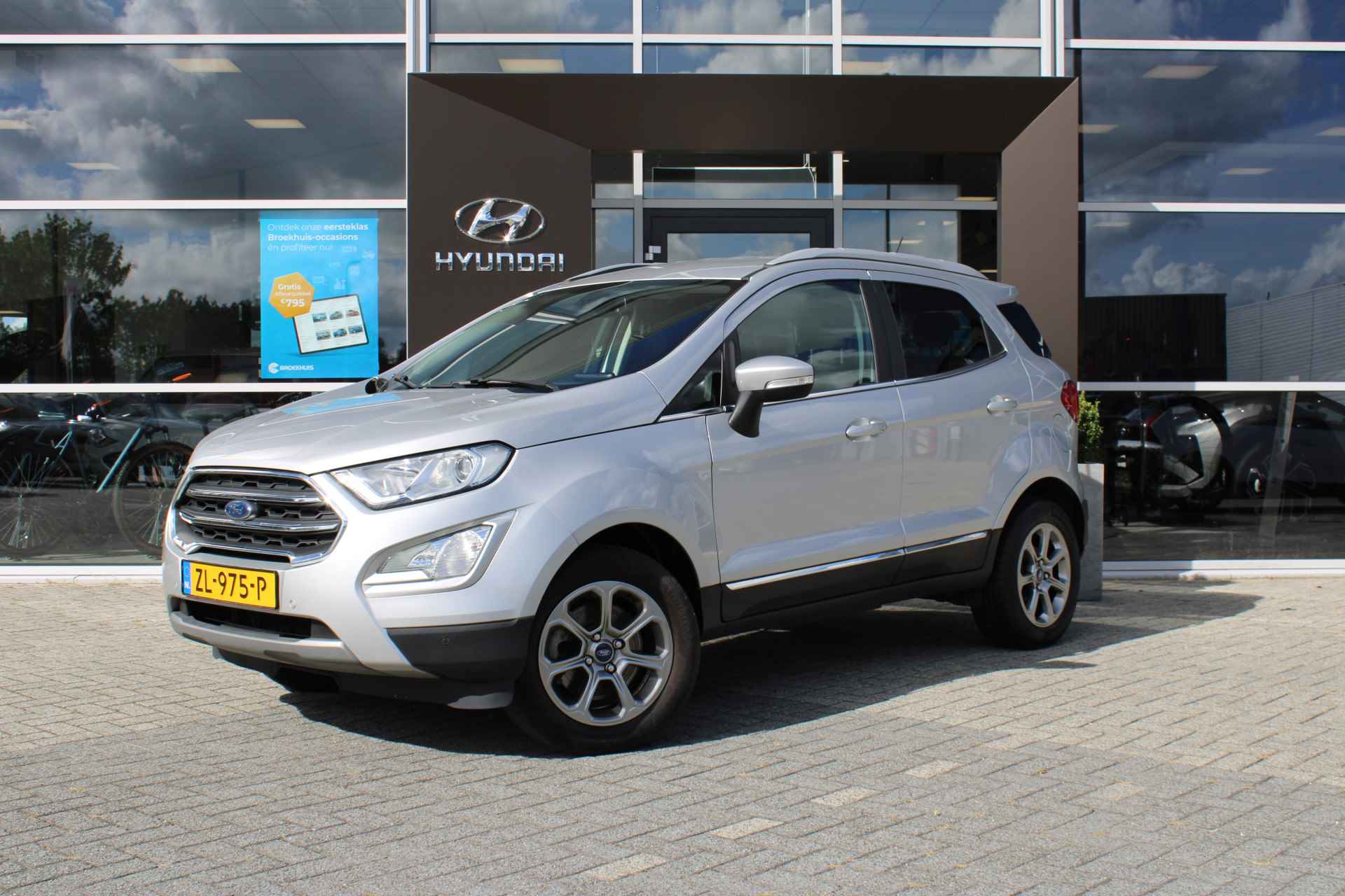 Ford EcoSport BOVAG 40-Puntencheck