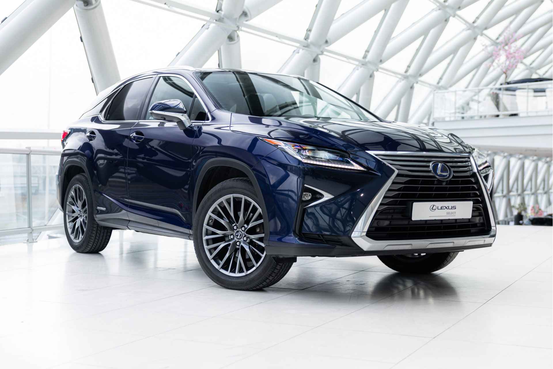 Lexus RX 450h 4WD President Line Limited | Mark Levinson | Panoramic View | - 50/65