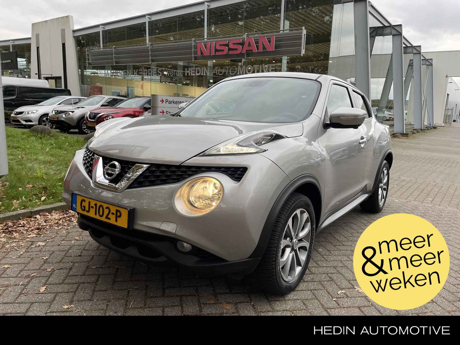 Nissan Juke BOVAG 40-Puntencheck