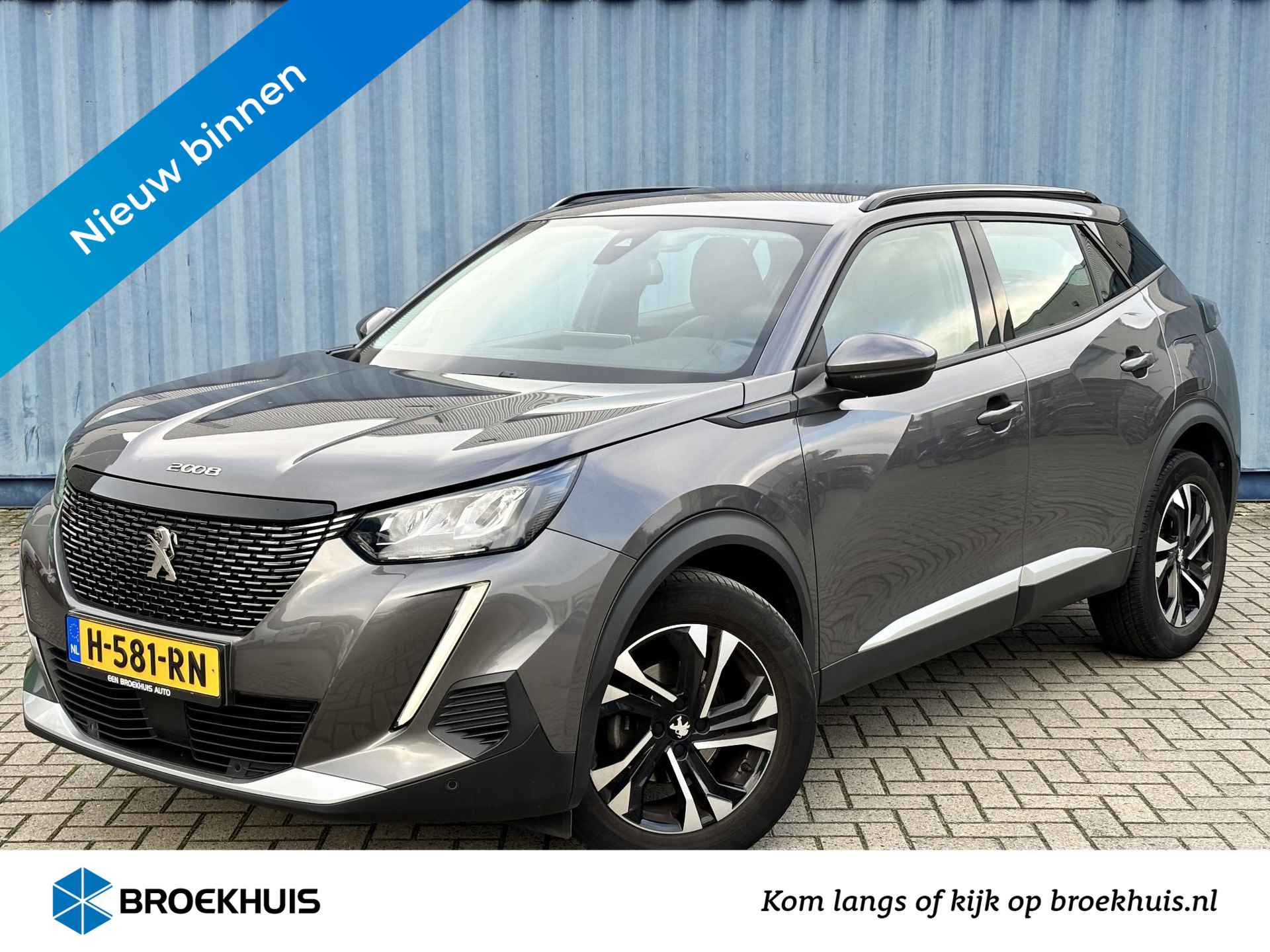 Peugeot 2008 BOVAG 40-Puntencheck