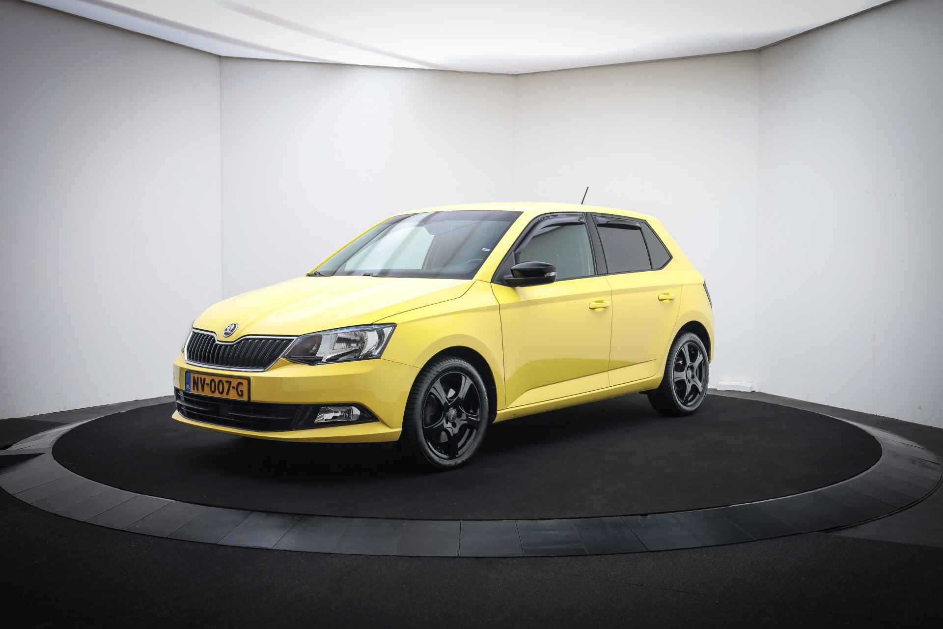 Škoda Fabia BOVAG 40-Puntencheck