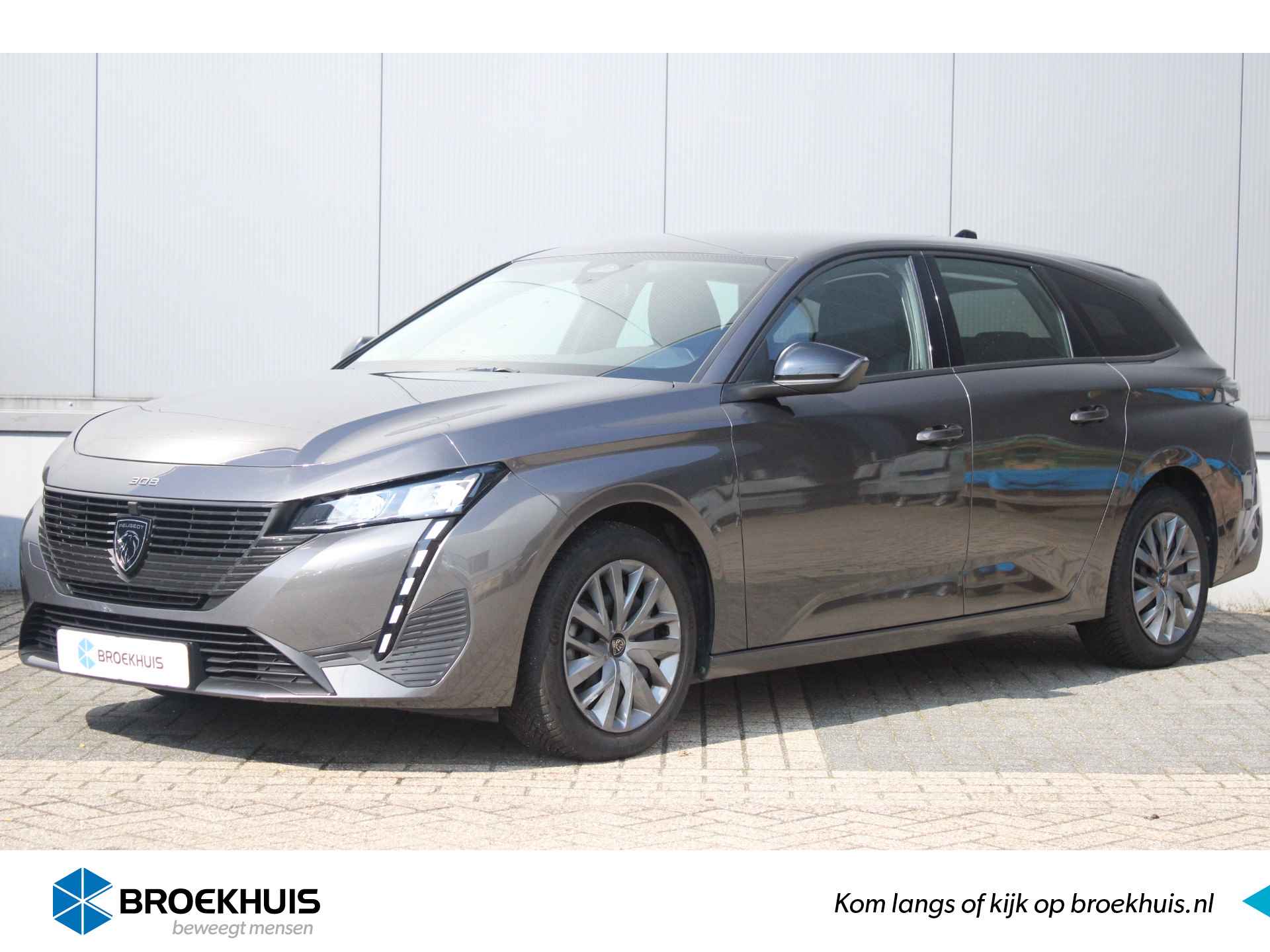 Peugeot 308 BOVAG 40-Puntencheck